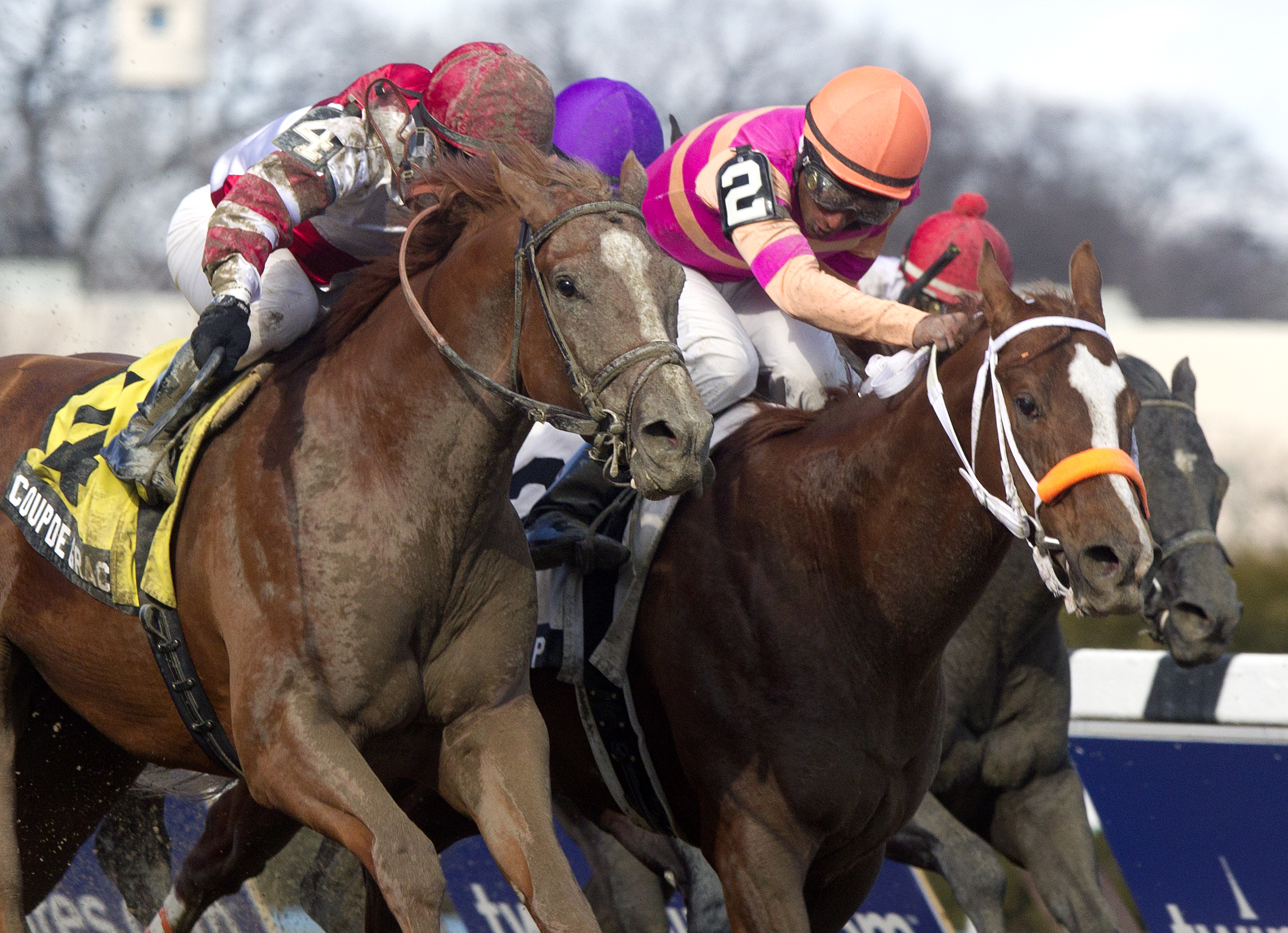 Coup de Grace wins the Bay Shore