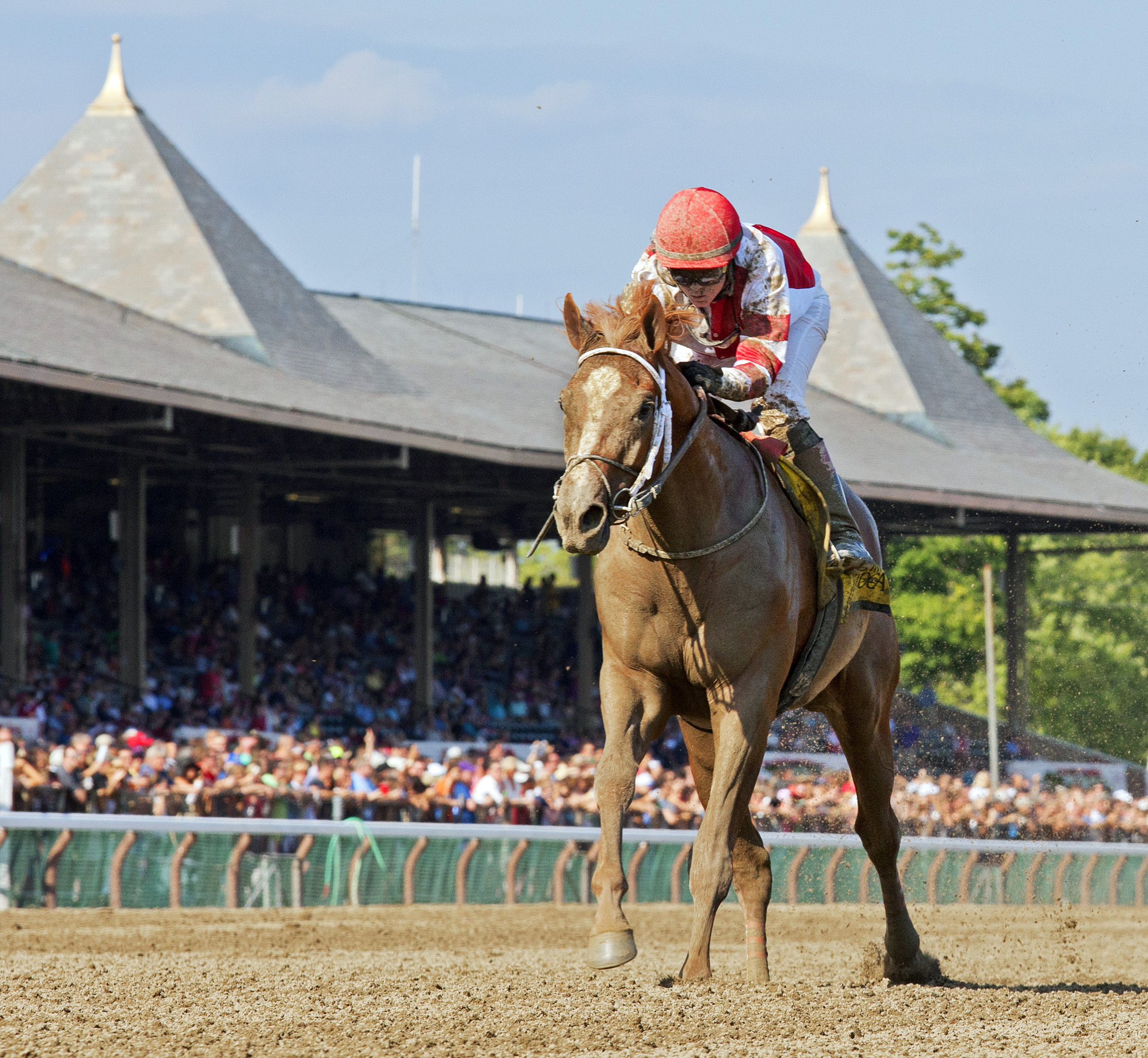 Coup de Grace wins the Amsterdam Stakes