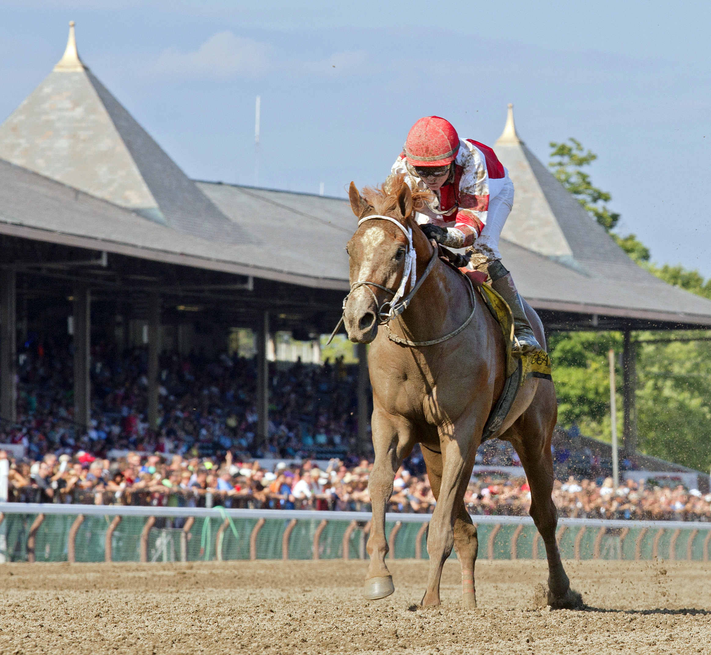 Coup de Grace wins the Amsterdam Stakes