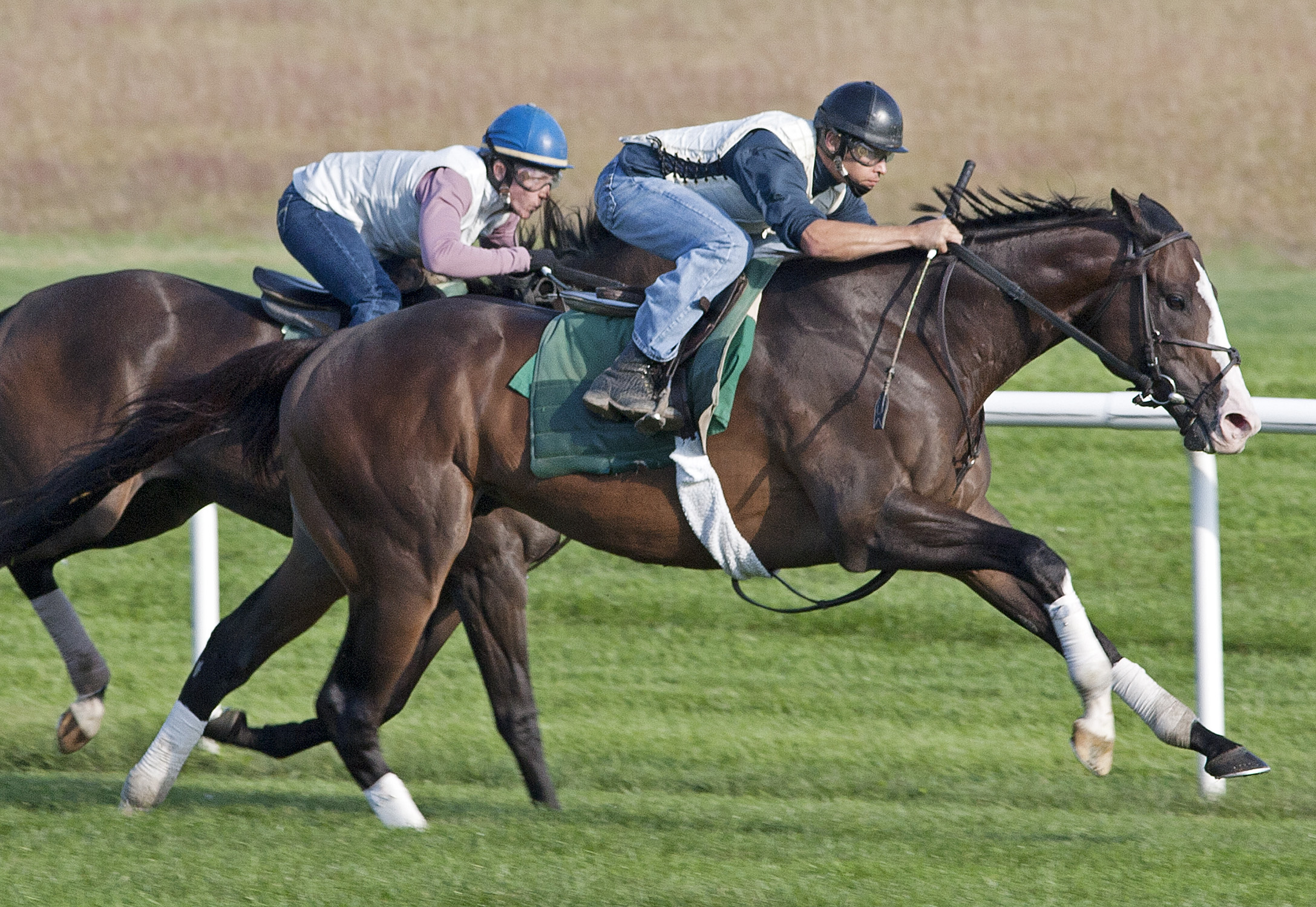 Courageous Cat works at Saratoga, September 2011
