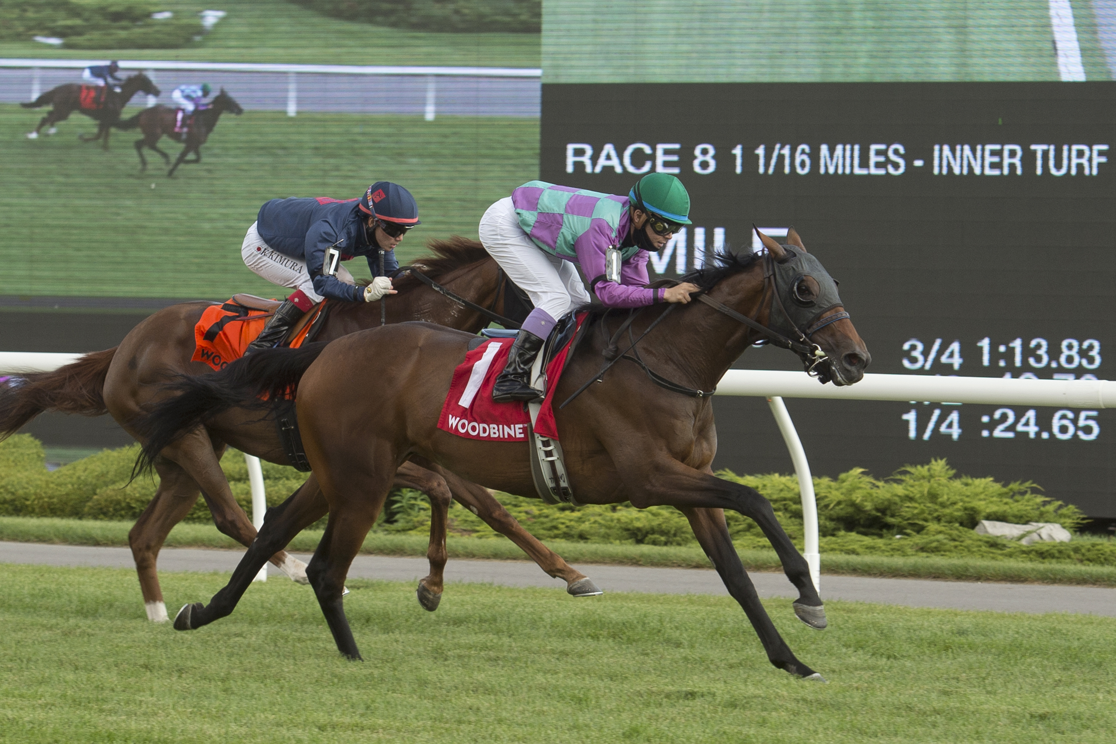 Court Return defeats Gun Society in the Eternal Search Stakes.8-22-2020