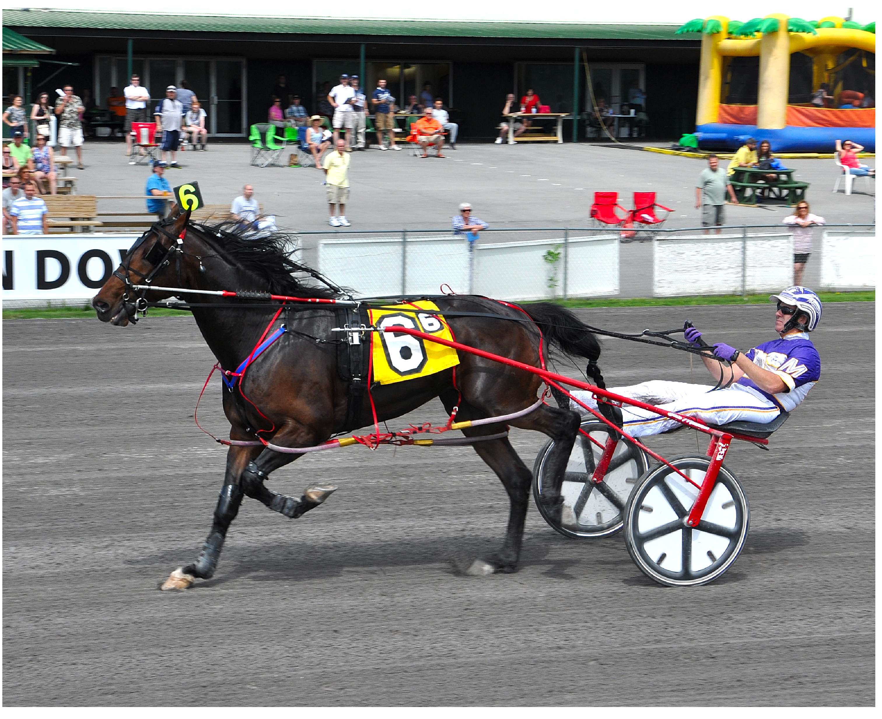 courtly choice