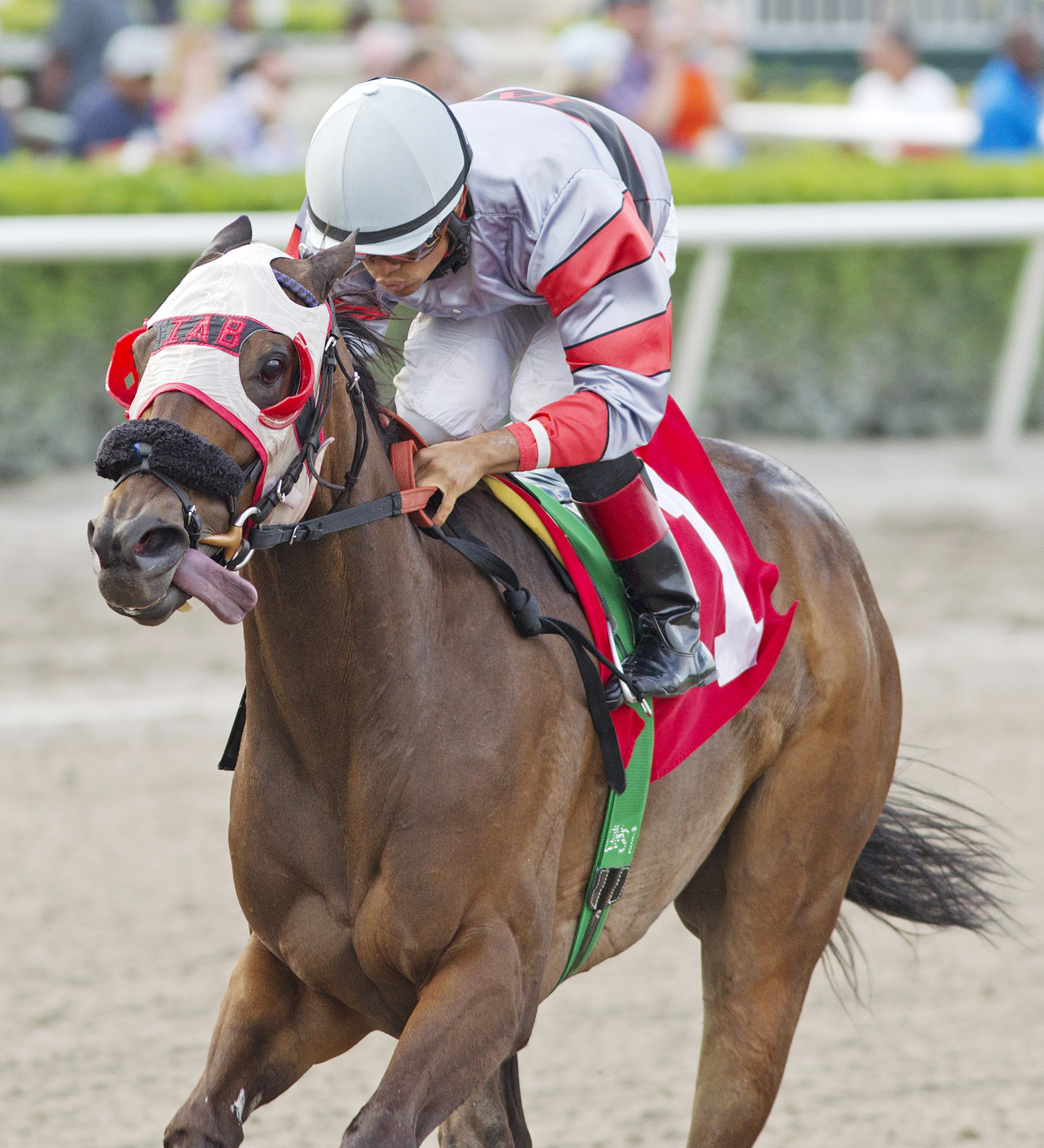 Courtney Ryan wins an optional claimer at Gulfstream