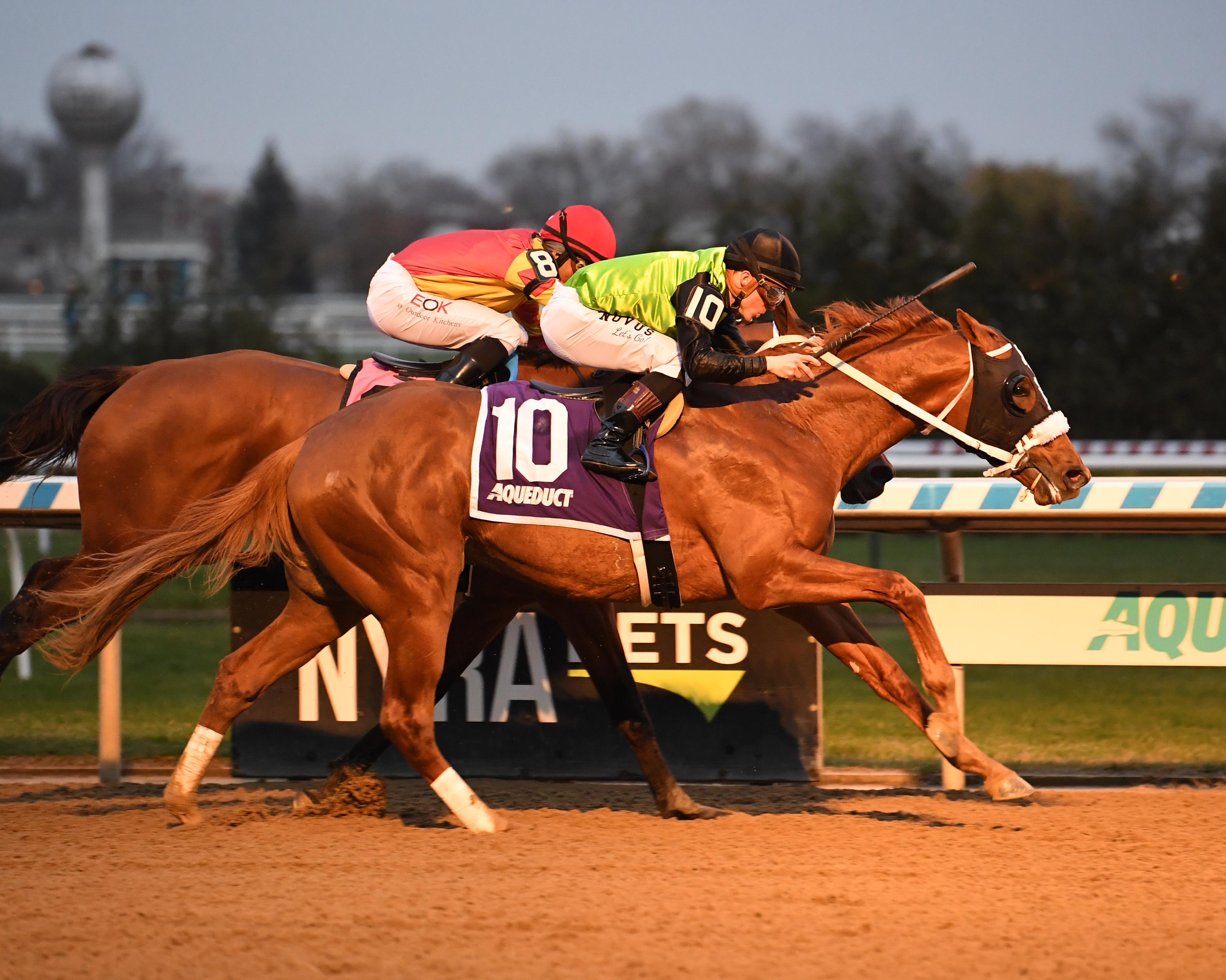 Courvoisier wins an Aqueduct maiden race.12-2-2021
