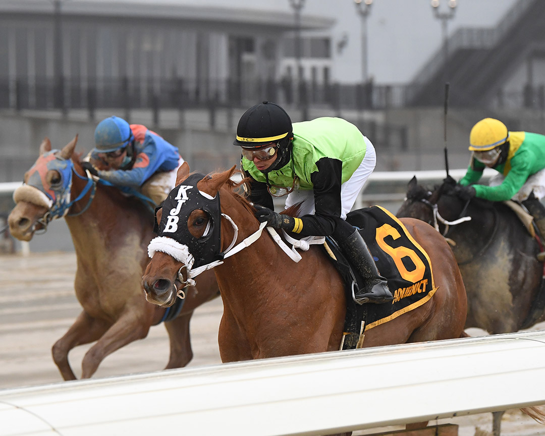 Courvoisier wins the 2022 Jerome Stakes at Aqueduct