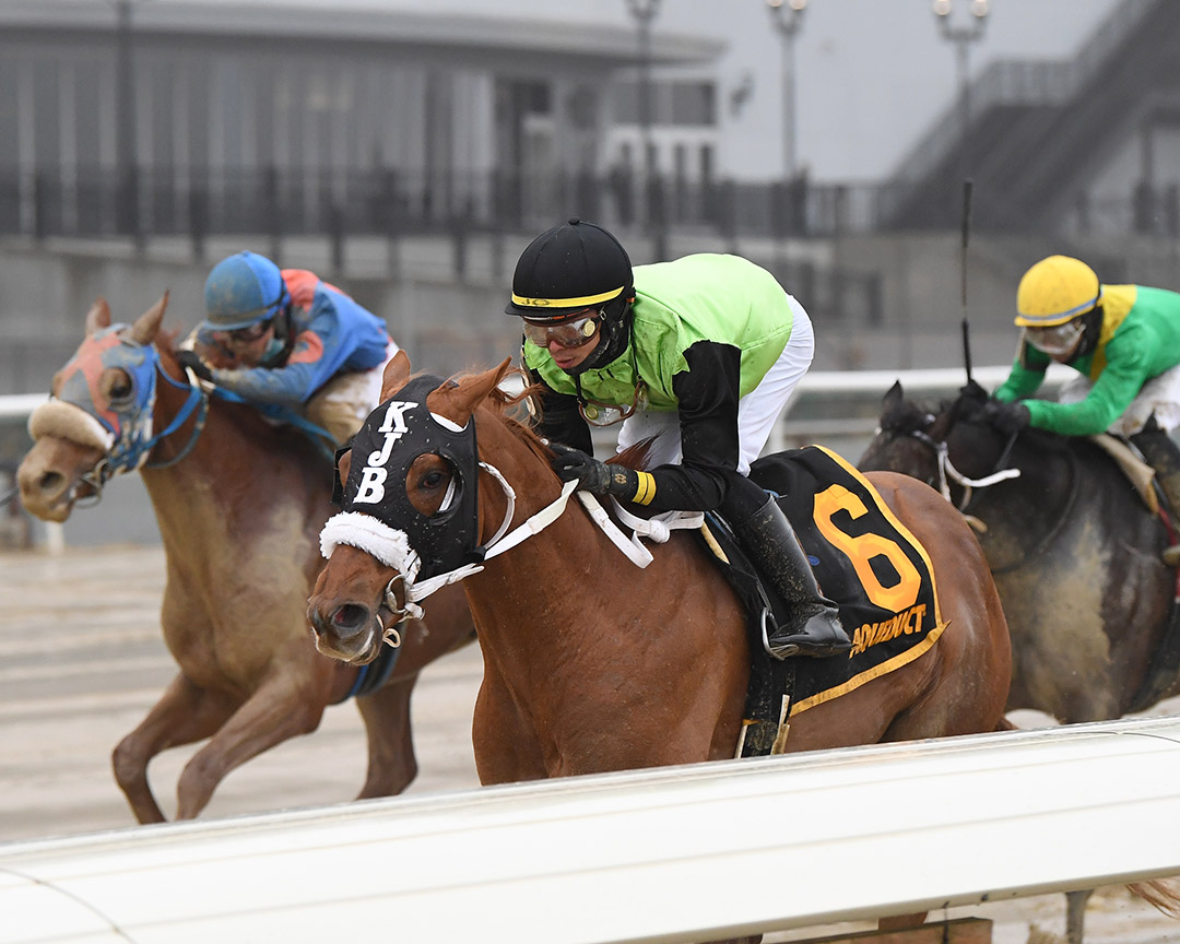 Courvoisier wins the 2022 Jerome Stakes at Aqueduct Racetrack