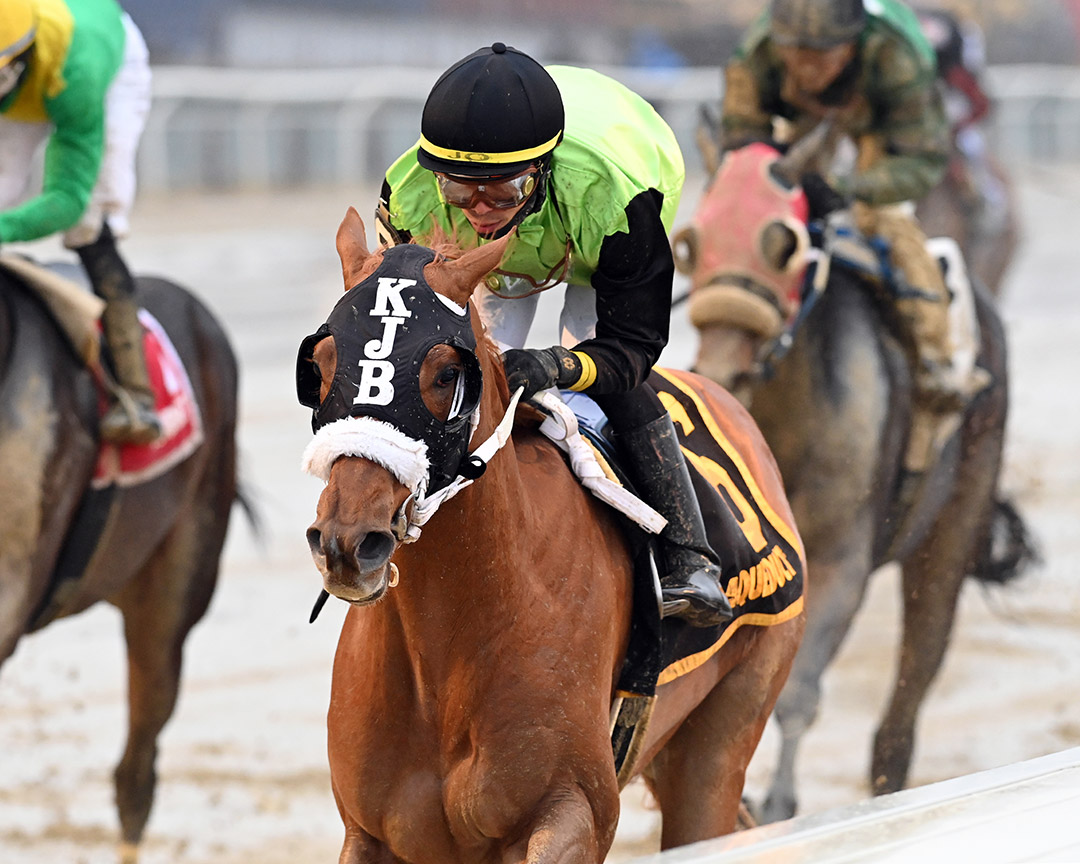 Courvoisier wins the 2022 Jerome Stakes at Aqueduct
