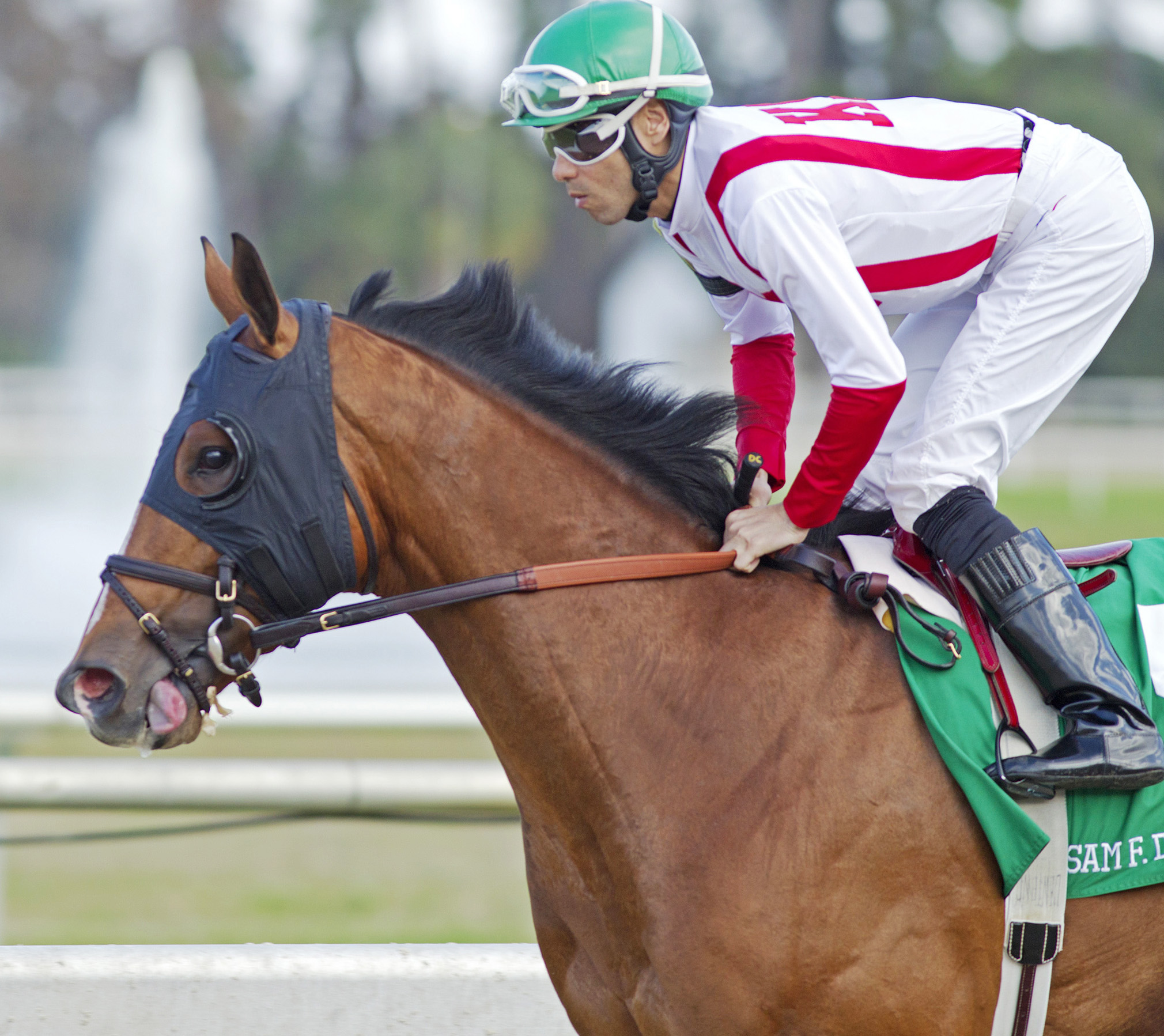 Cousin Stephen finishes fifth in the 2014 Sam F. Davis