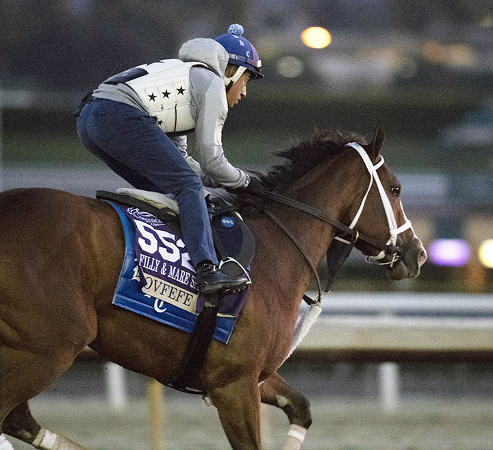Covfefe trains at Santa Anita Park on Oct. 30