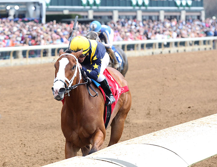 Covfefe wins an April 6 allowance at Keeneland