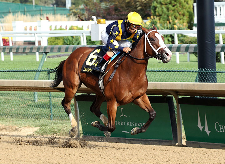 Covfefe wins the 2019 Dogwood at Churchill Downs