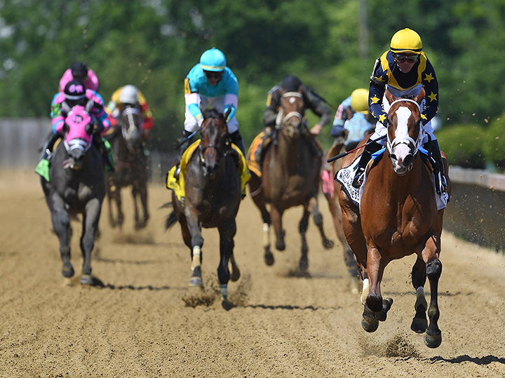 Covfefe wins the Miss Preakness
