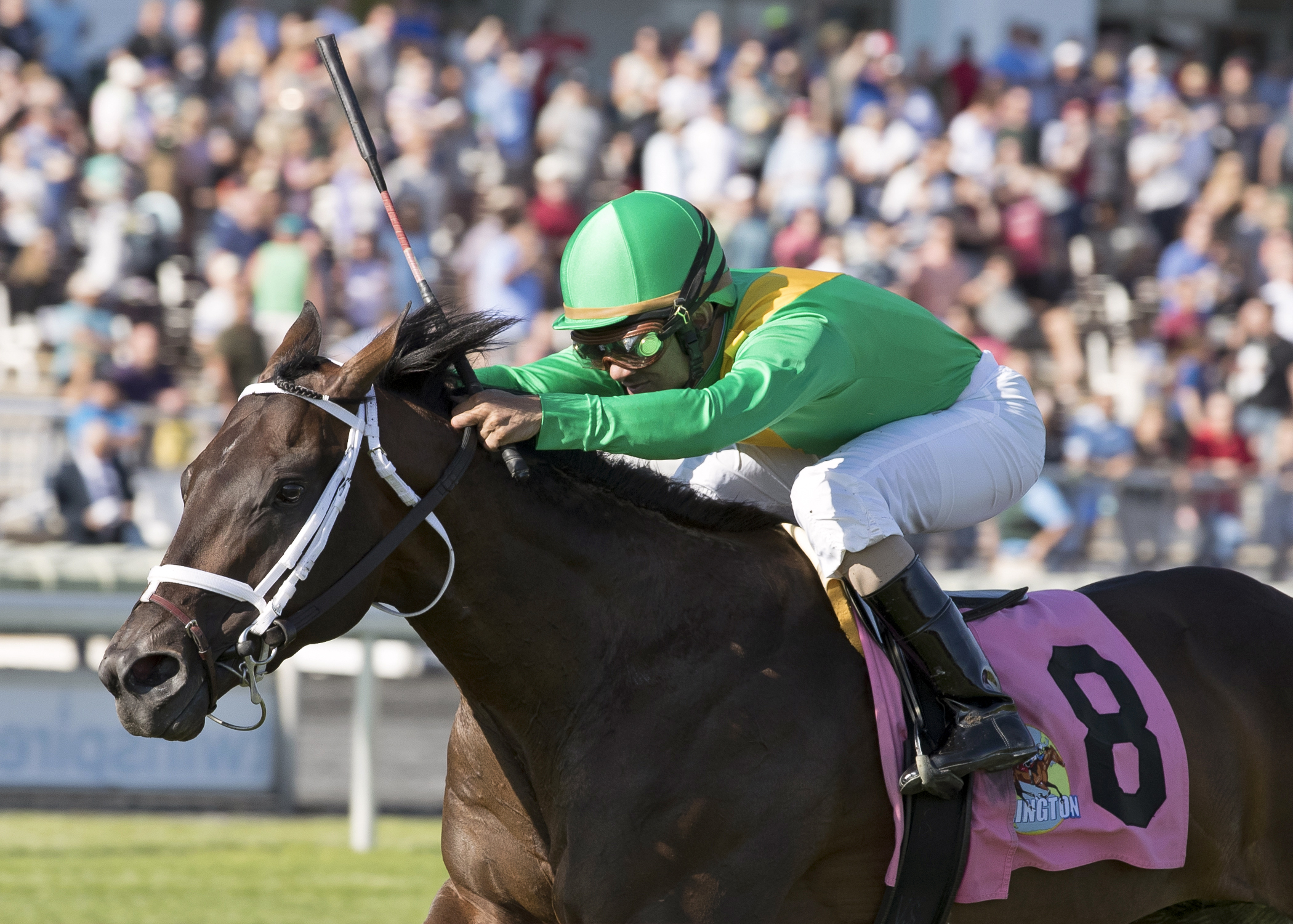 Cowboy Culture wins the Arlington Classic