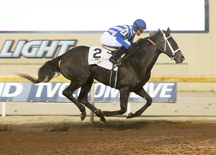 Cowgirls Like Us wins the 2018 Trapeze Stakes