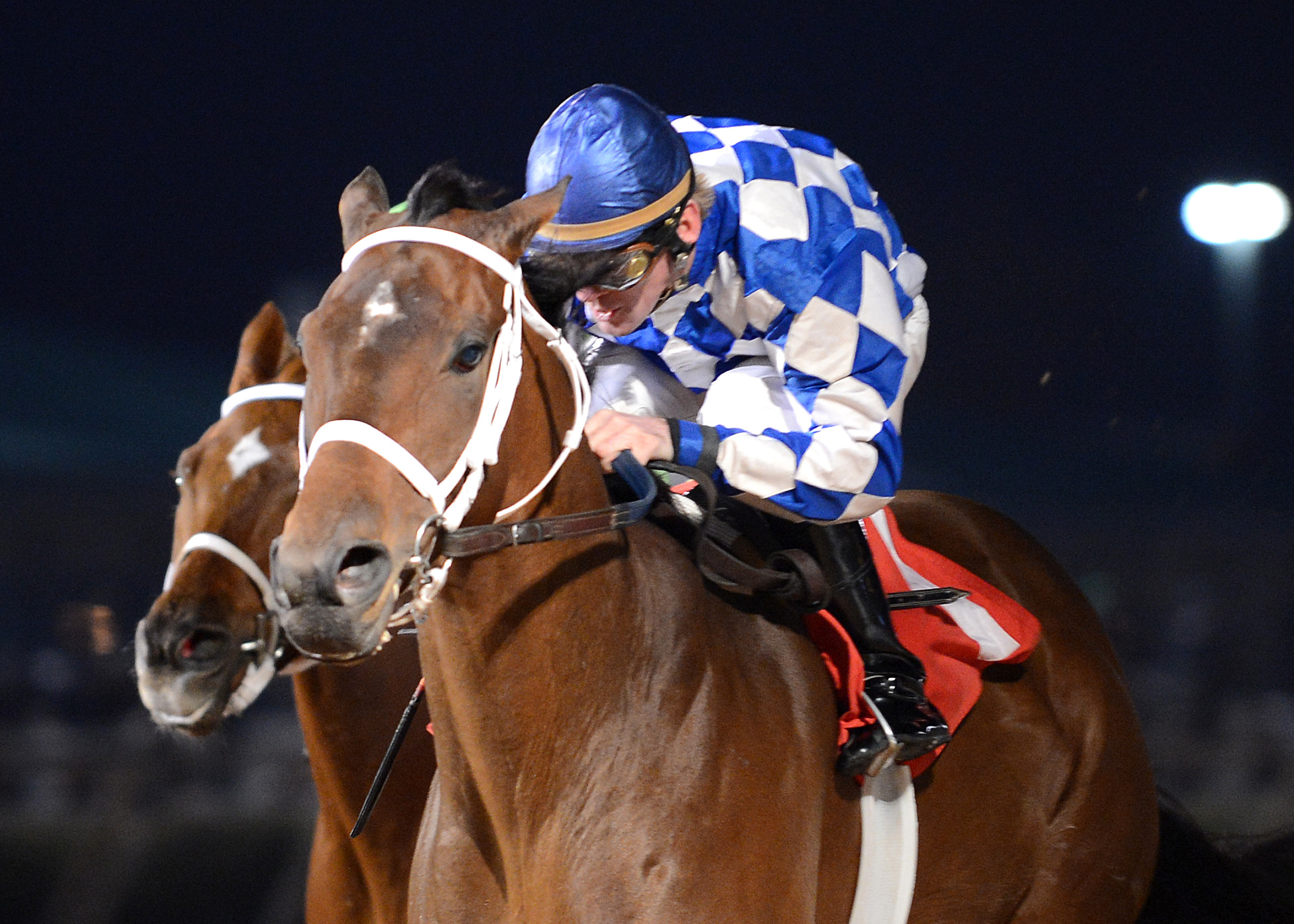 Coyote Legend, Star of Texas Stakes