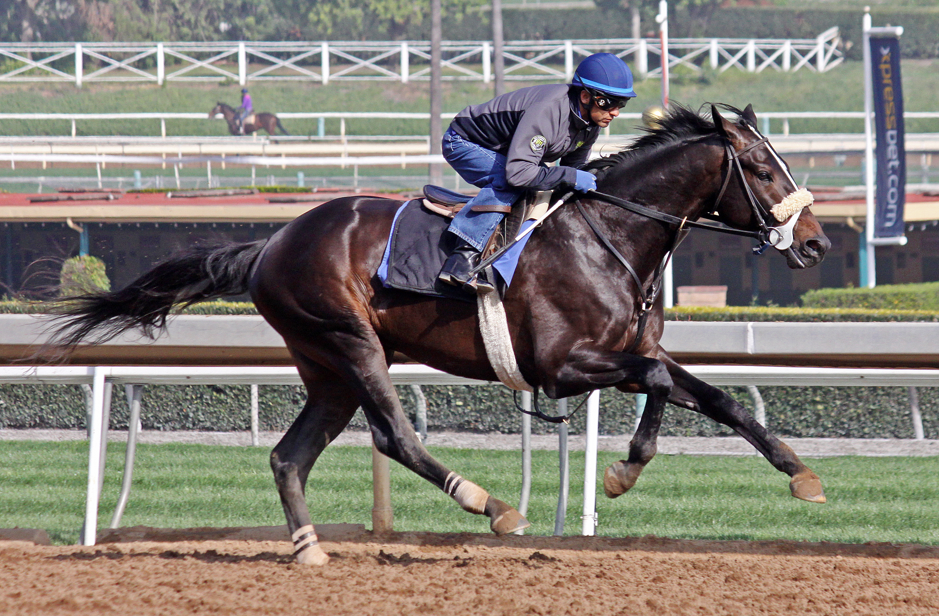 Cozmic One training at Santa Anita on Feb. 19