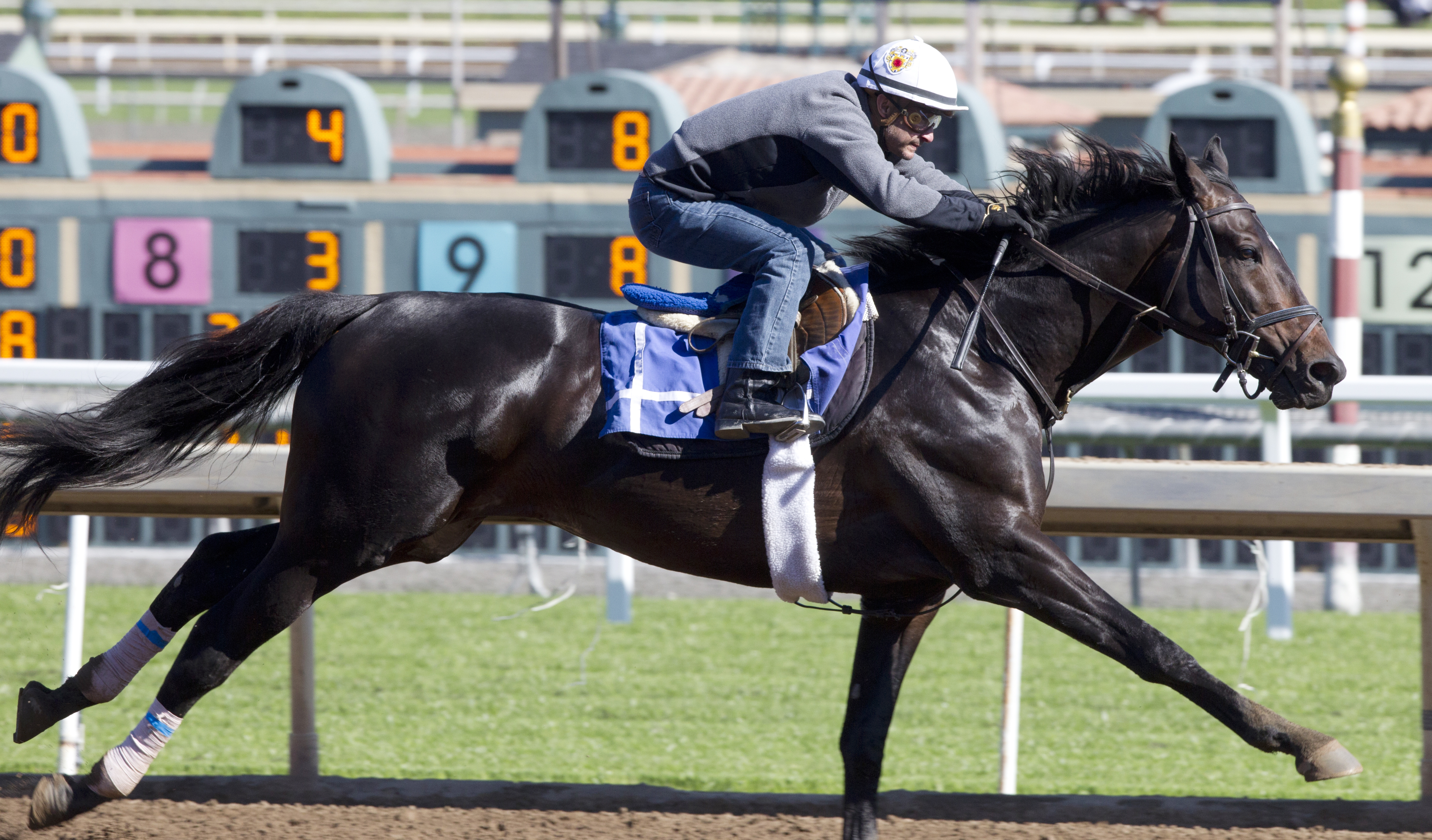 Cozmic One trains at Santa Anita in March 2016