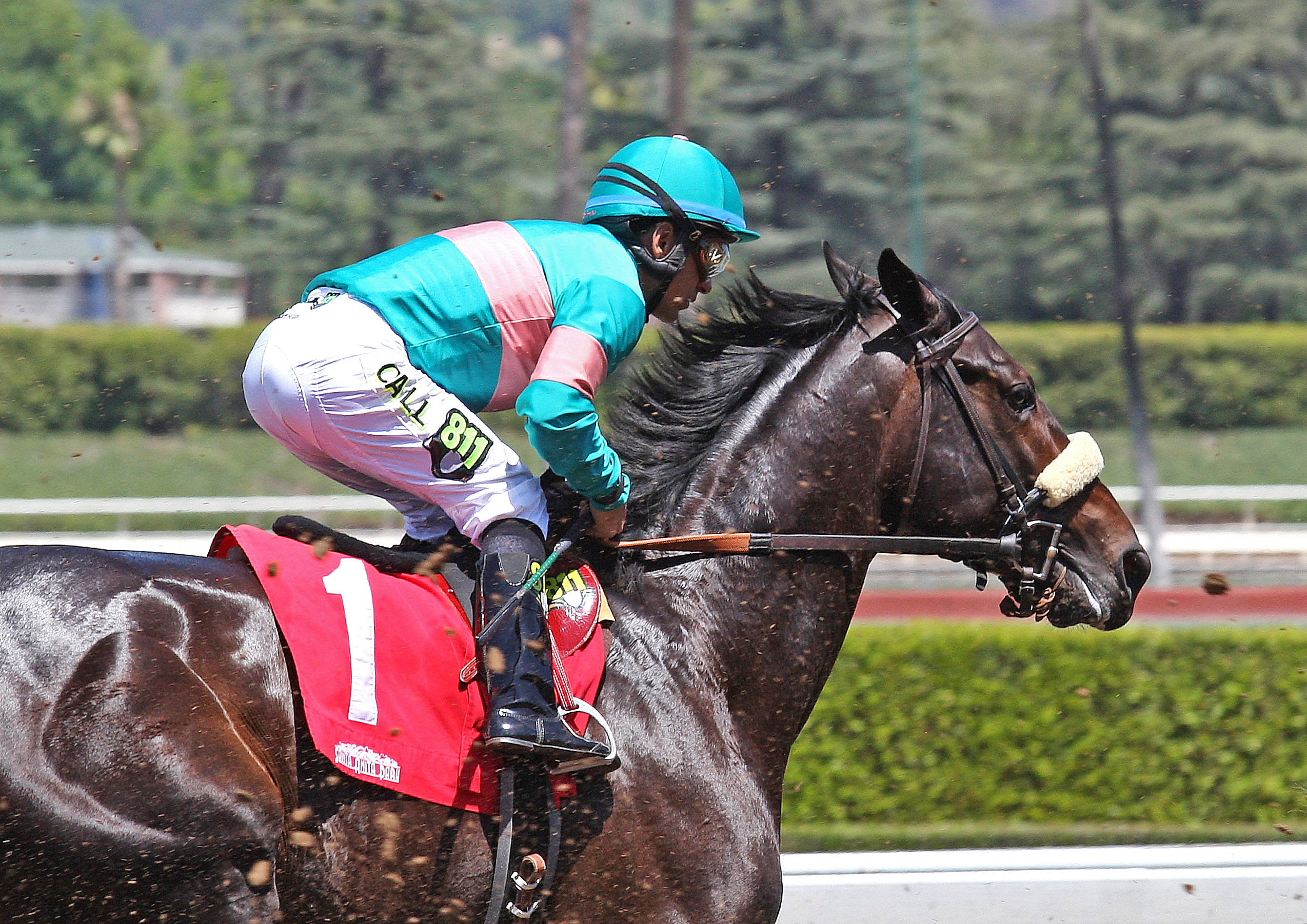 Cozmic One finishes last in a maiden race