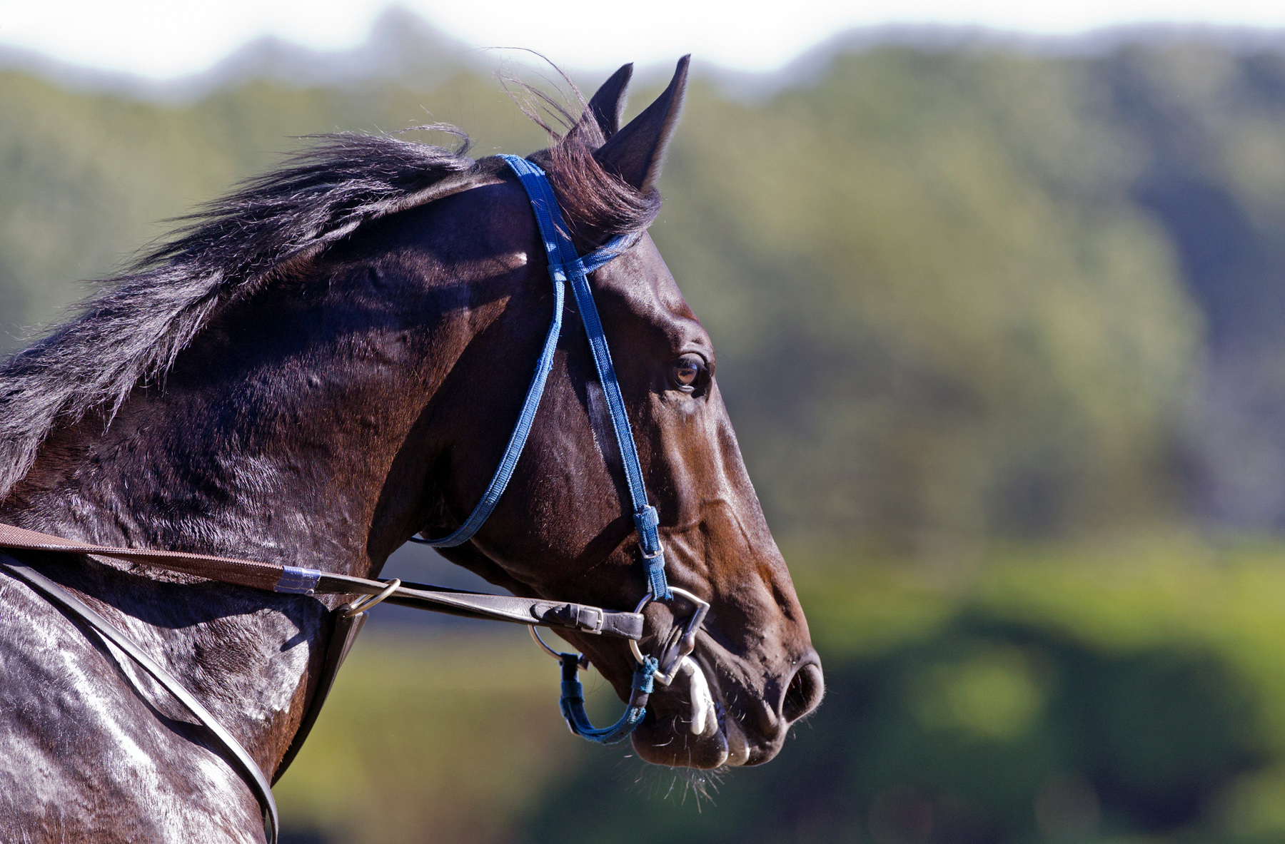 Cozmic One