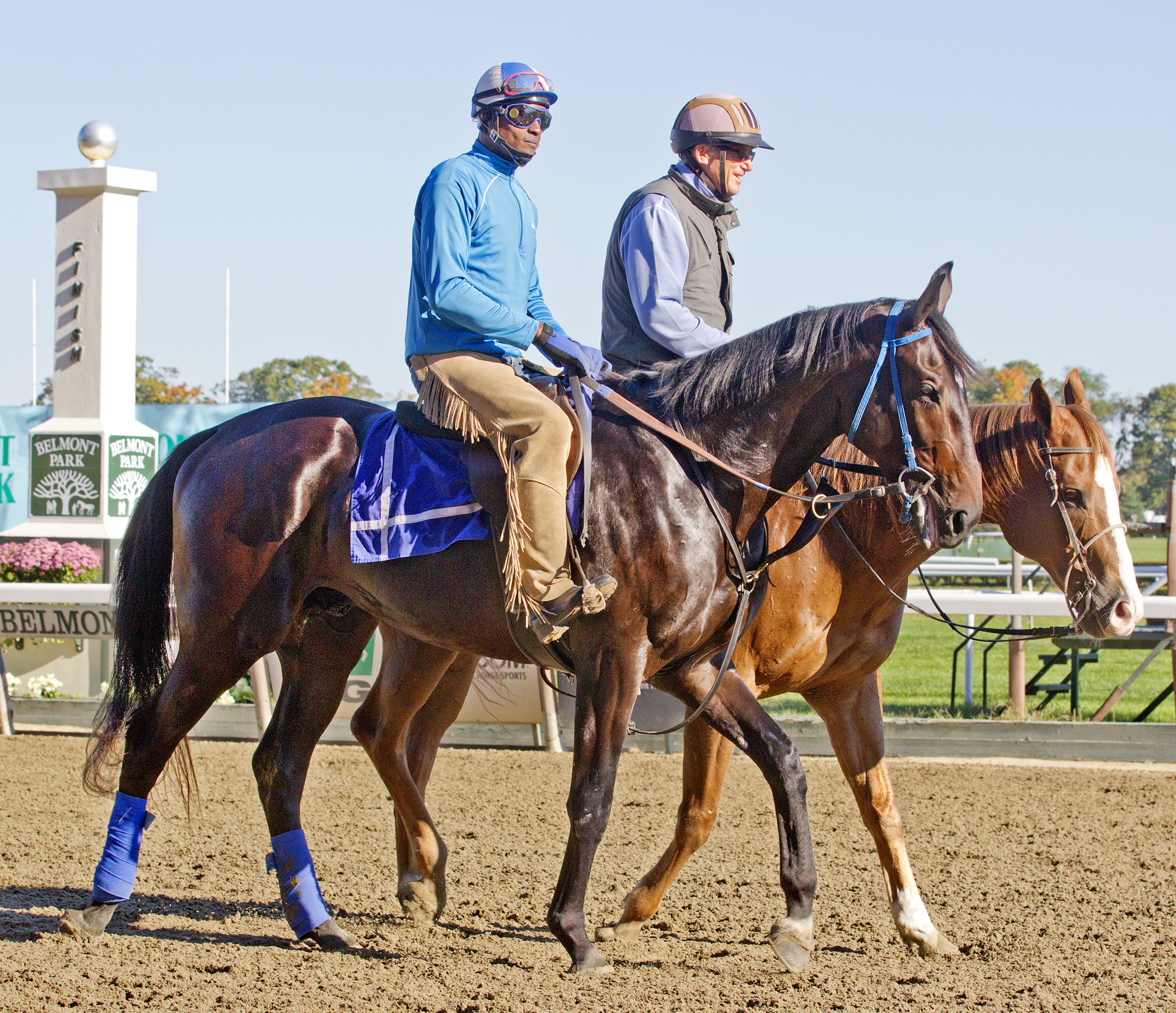 Cozmic One