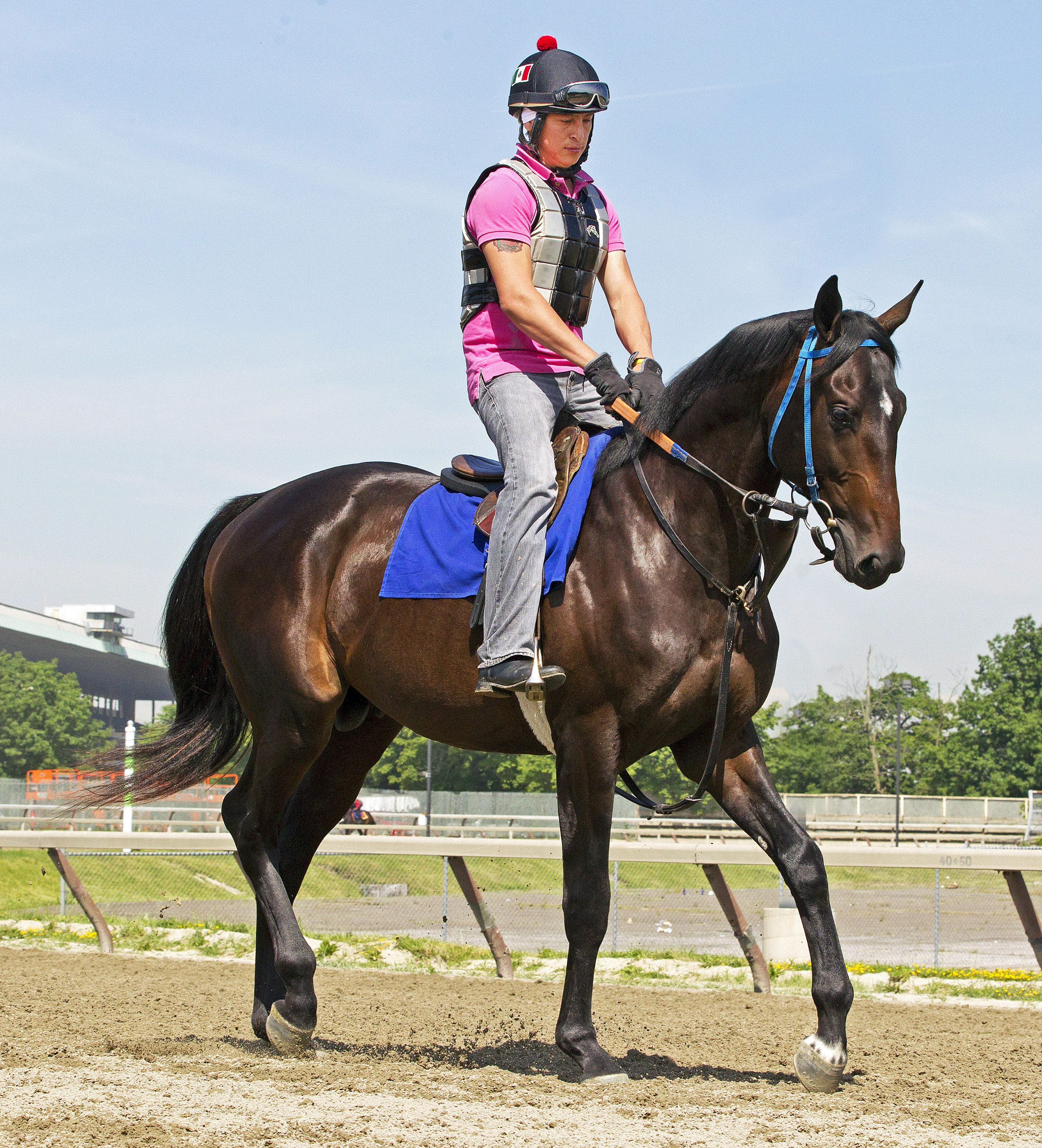 Cozmic One at Belmont on June 8
