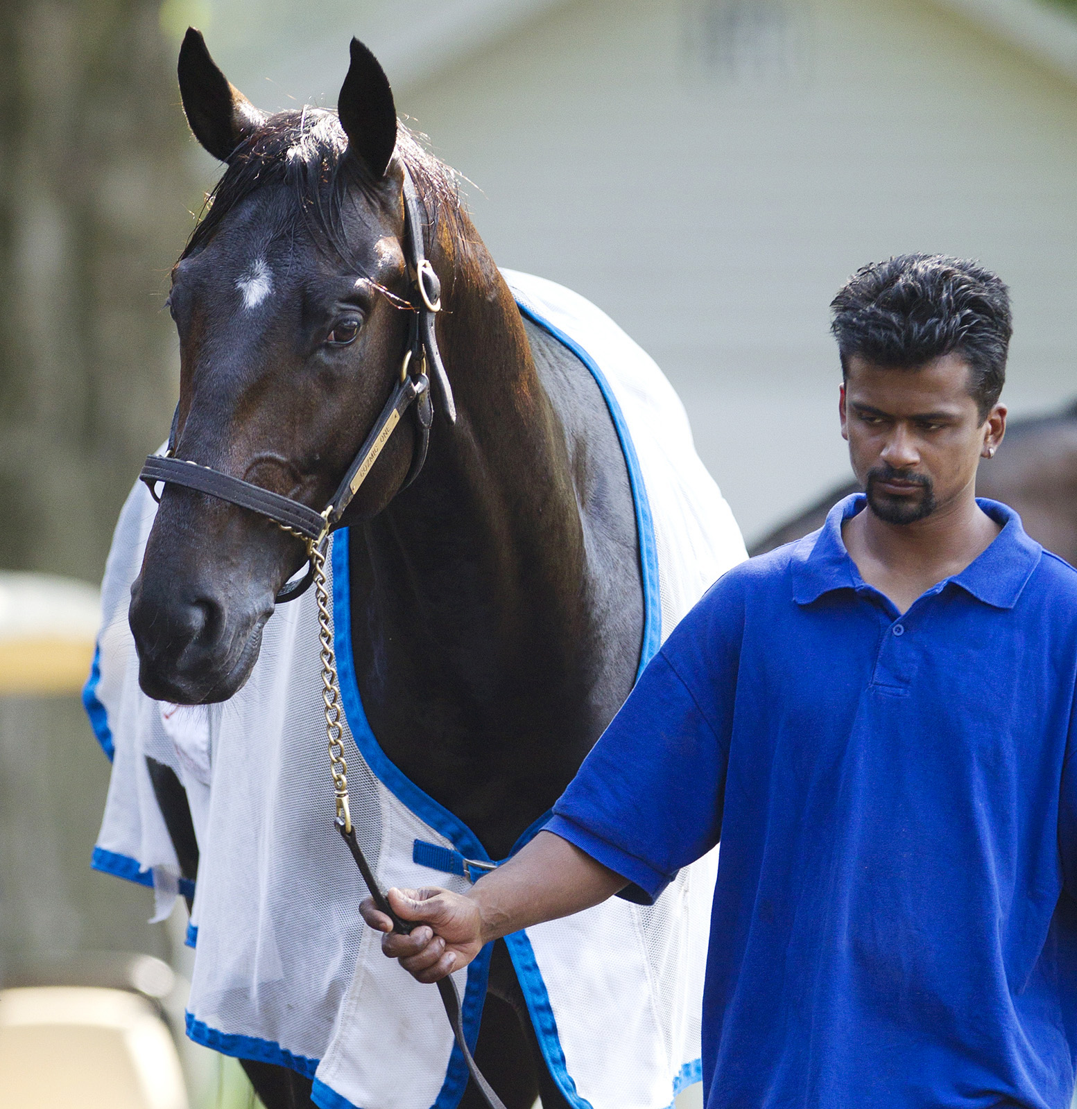 Cozmic One at Saratoga in August