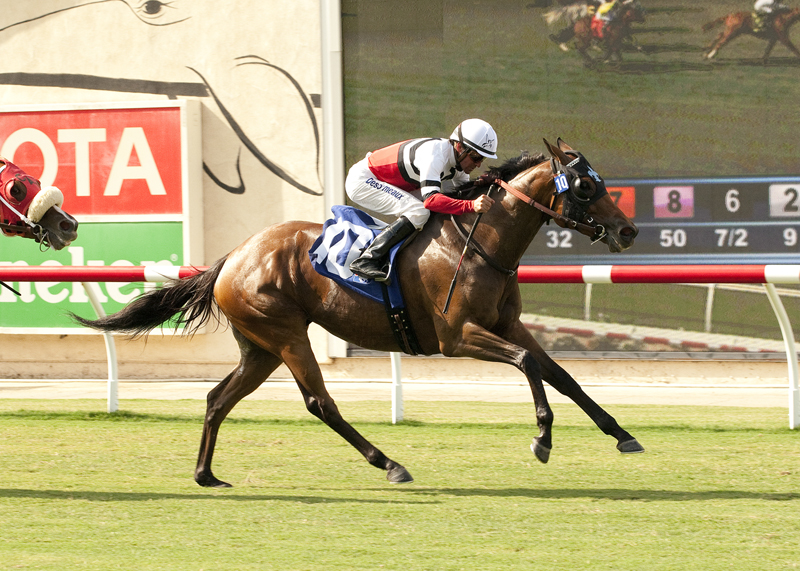Cozze Up Lady 7-19-2014
