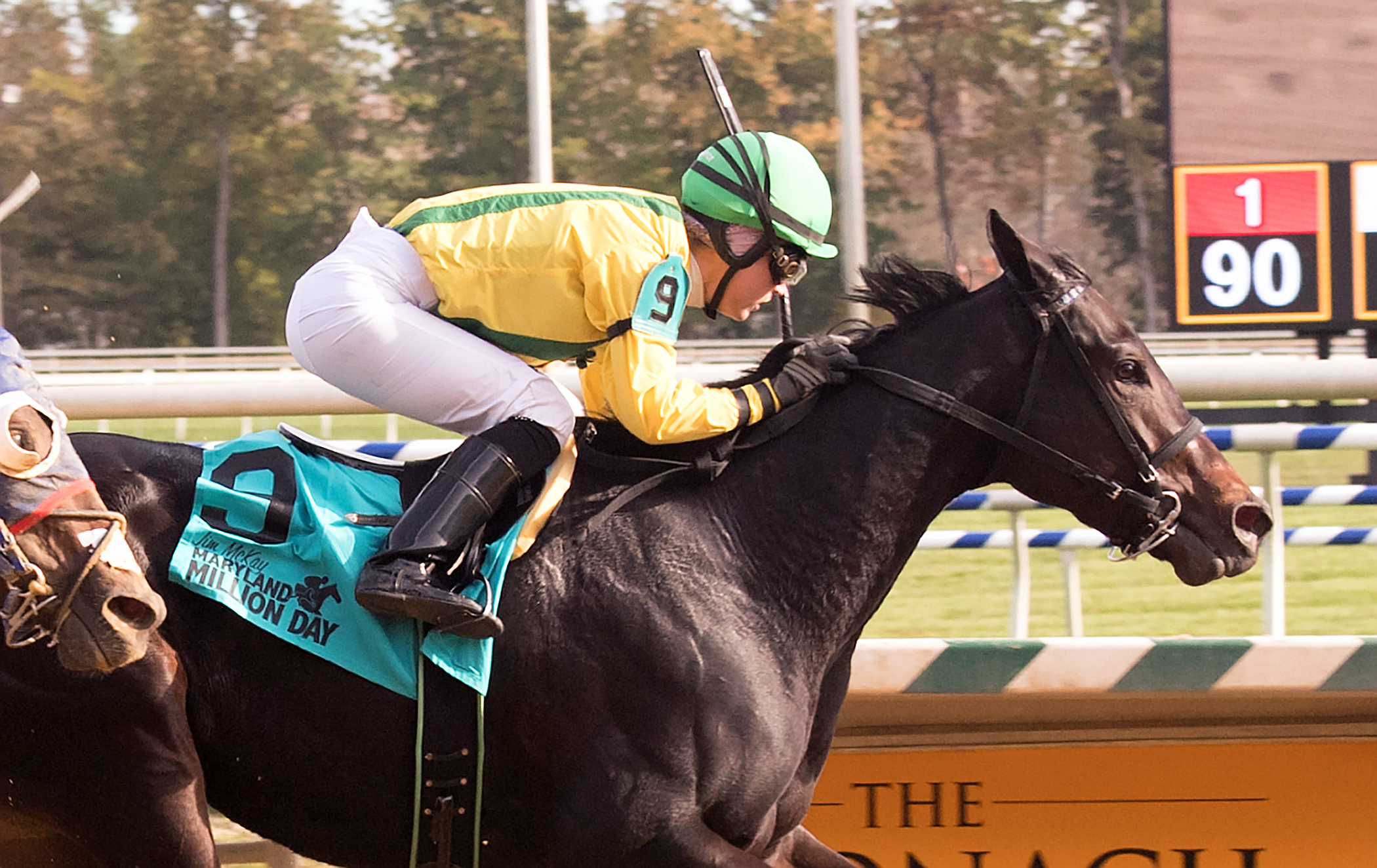 Crabcakes wins the 2017 Maryland Million Distaff