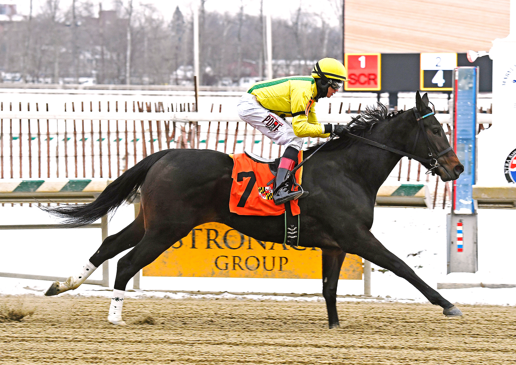 Crabcakes wins a Jan. 7 optional claiming