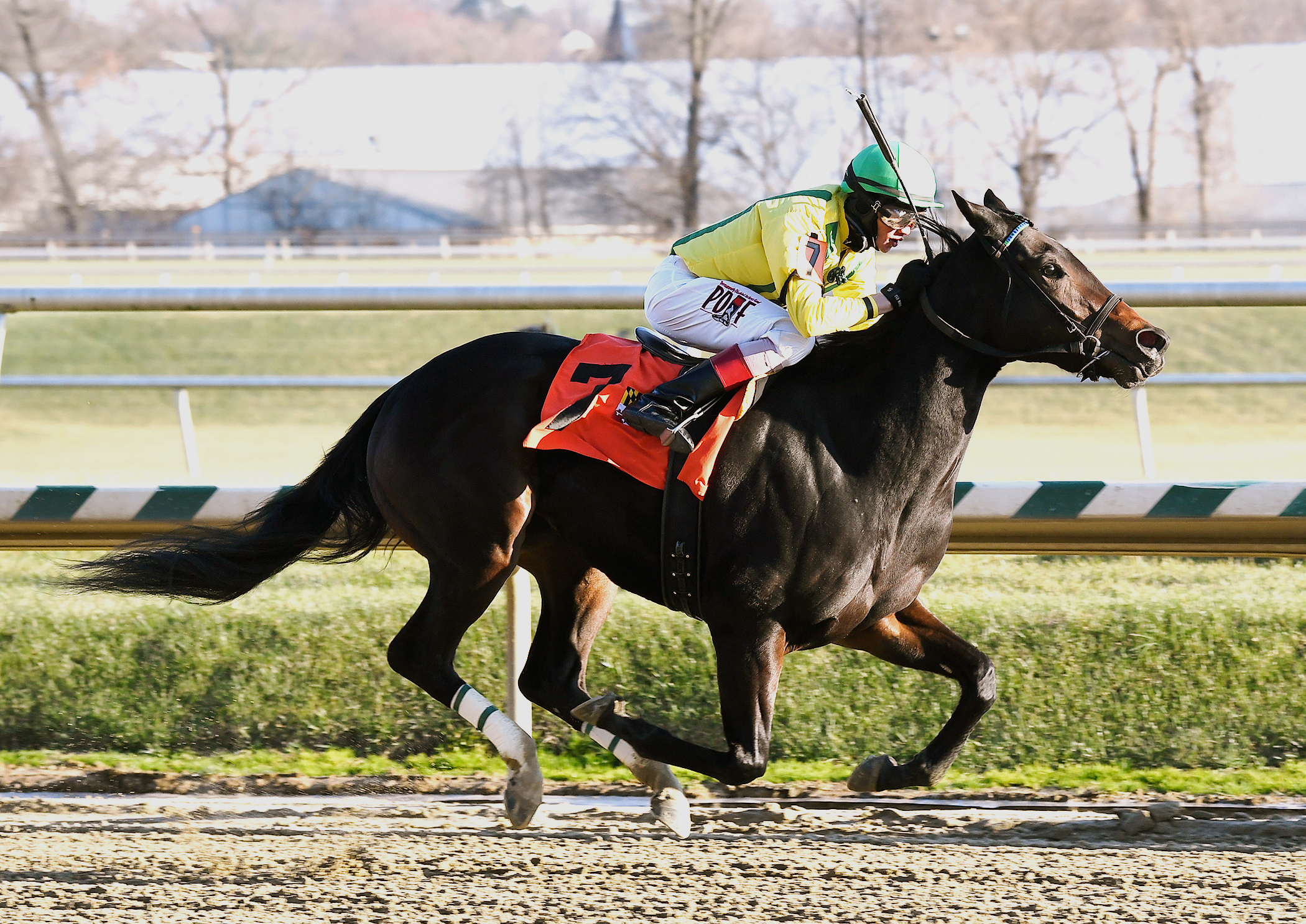 Crabcakes wins the Maryland Juvenile Filly Championship Stakes