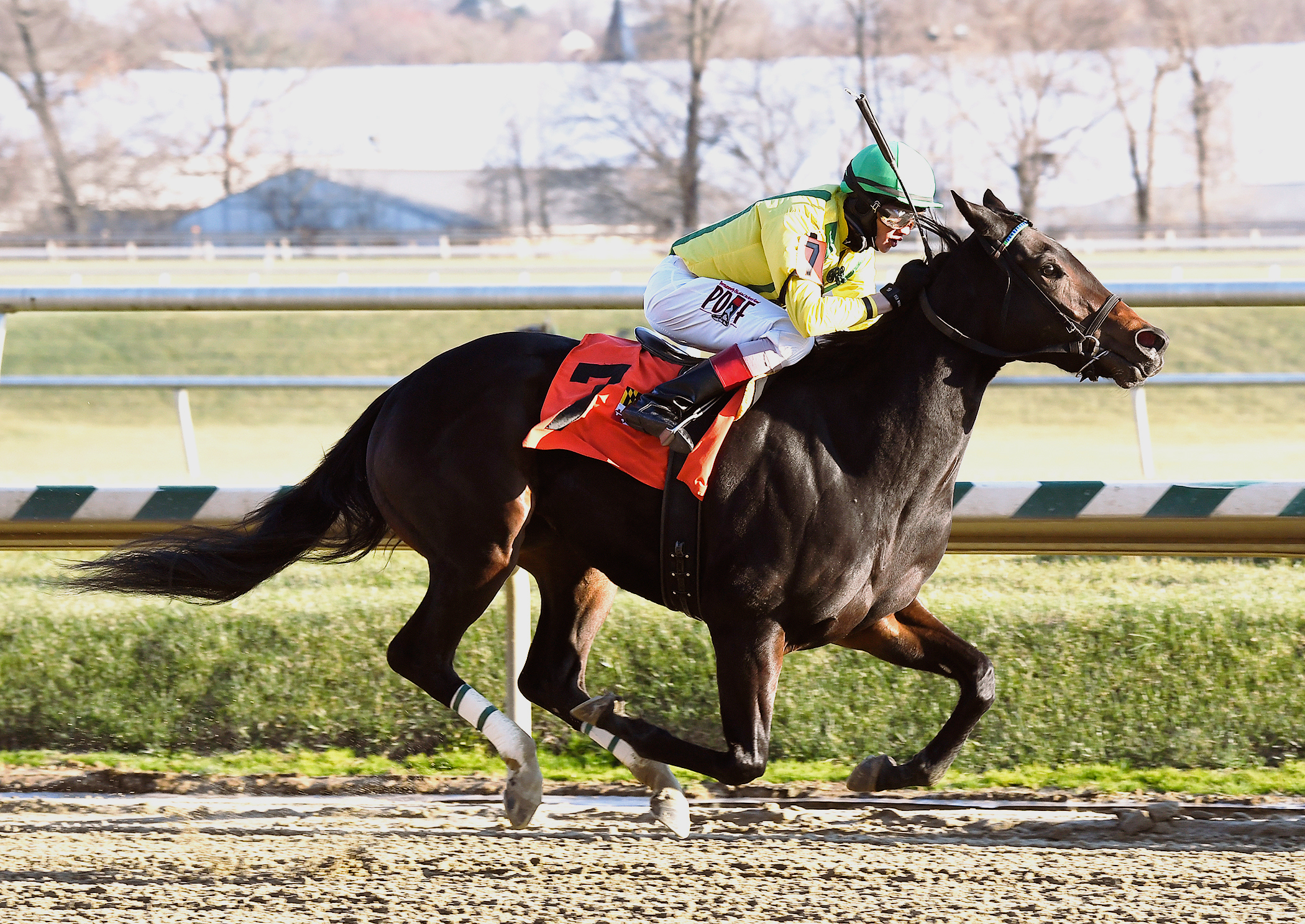 Crabcakes wins the Maryland Juvenile Filly Championship Stakes