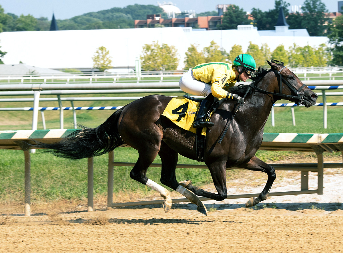 Crabcakes wins a July 26 allowance race