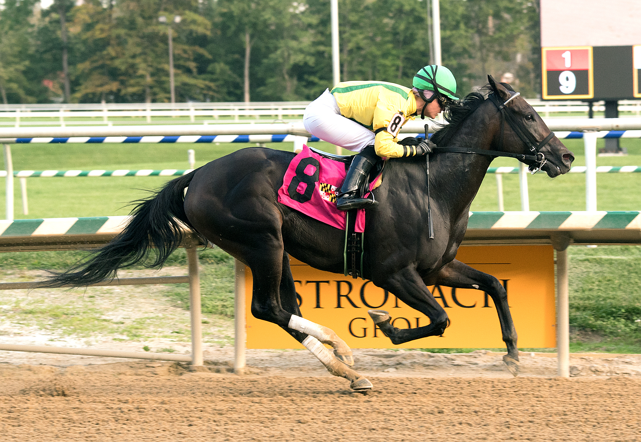 Crabcakes wins a Sept. 15 allowance race