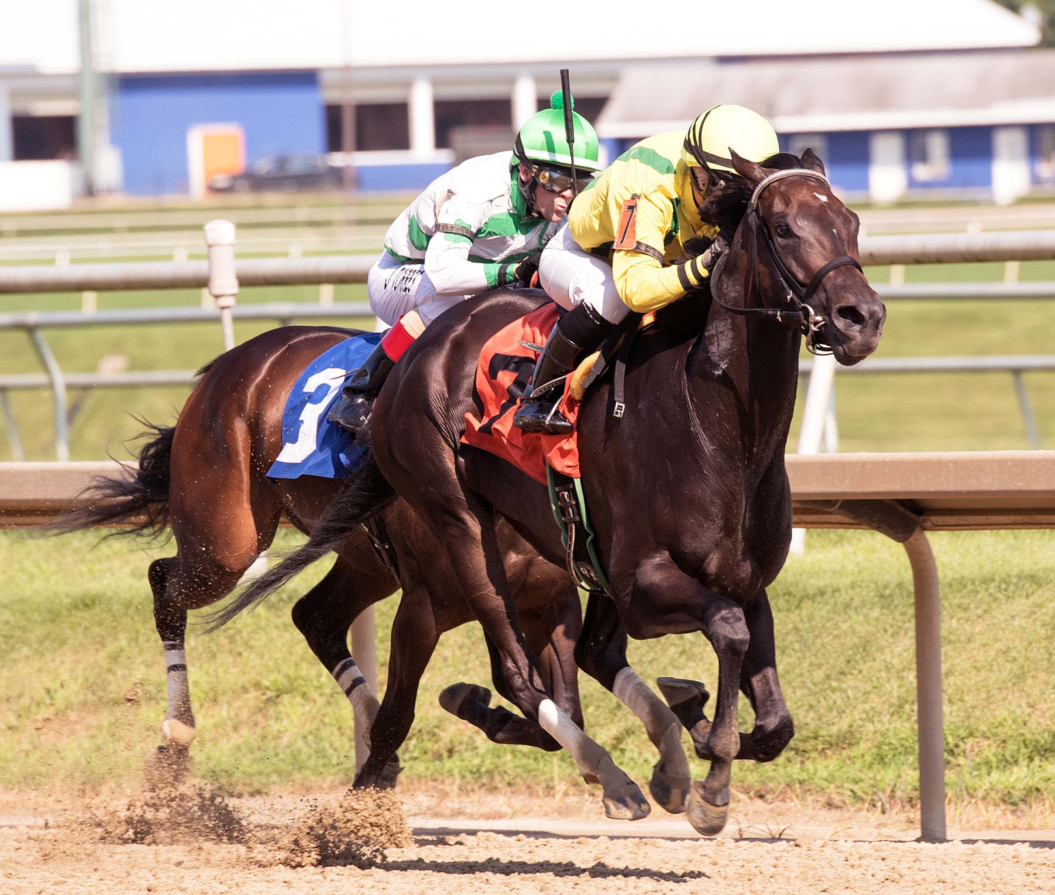 Crabcakes wins the Miss Disco Stakes at Laurel 8.19.17