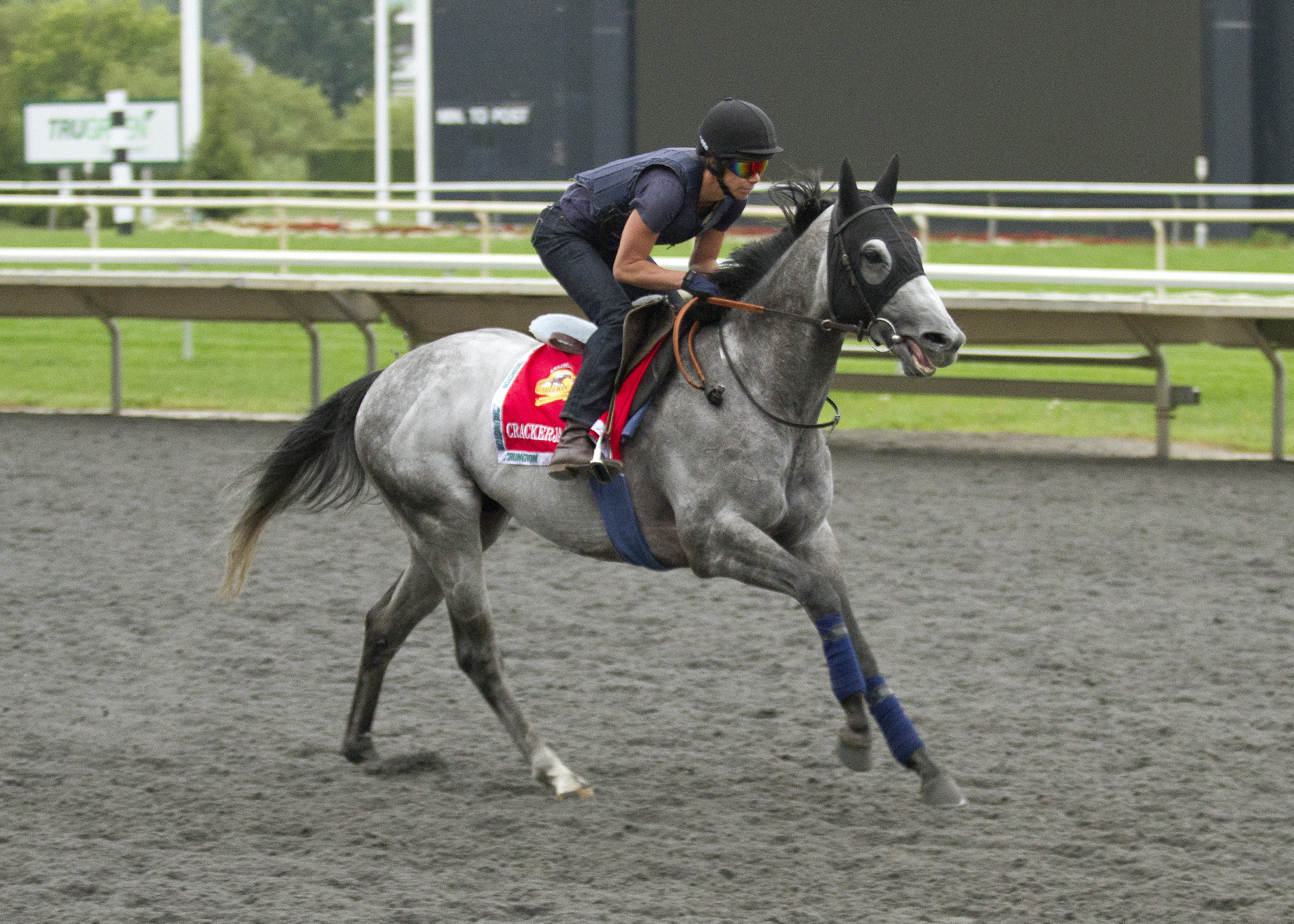 King: Favor Europeans in Arlington Million