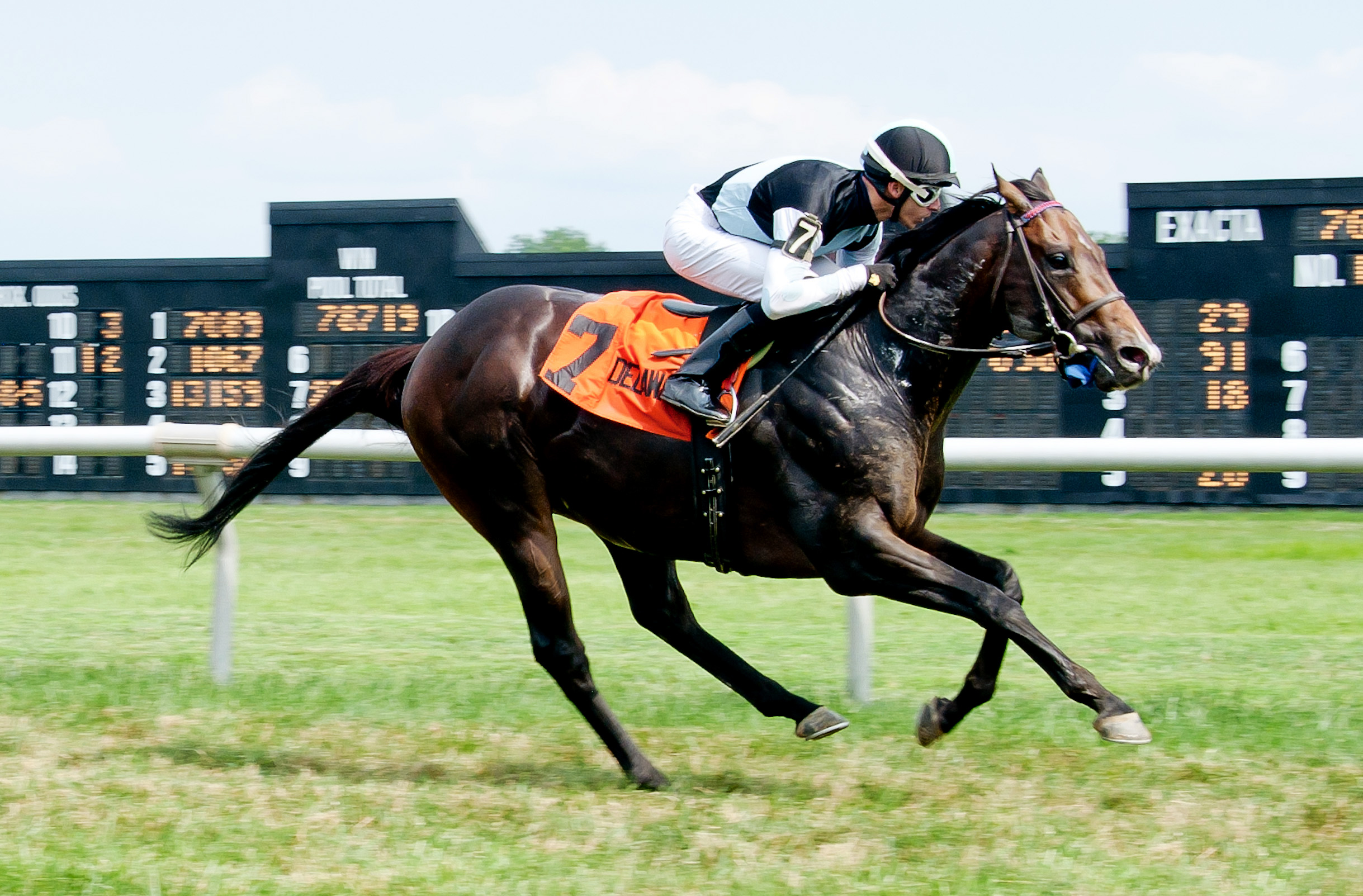 Craftsman wins the Nick Shuk Memorial