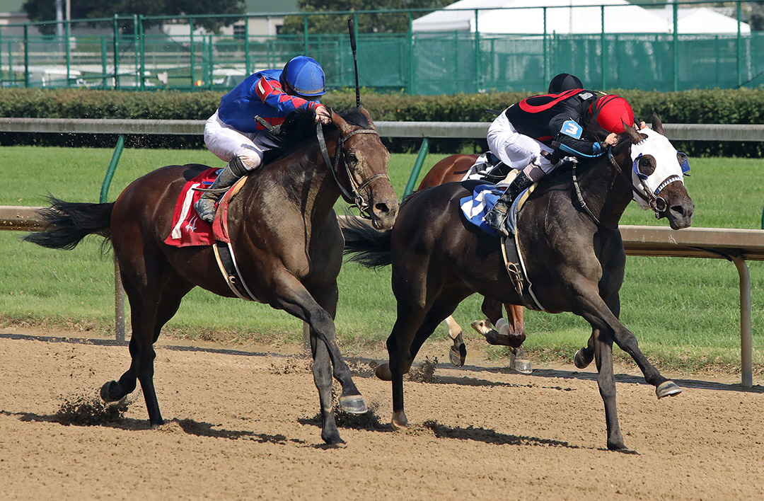 Crafty Daddy (right) beats Captivating Moon to win the Opening Verse Stakes at Churchill Downs