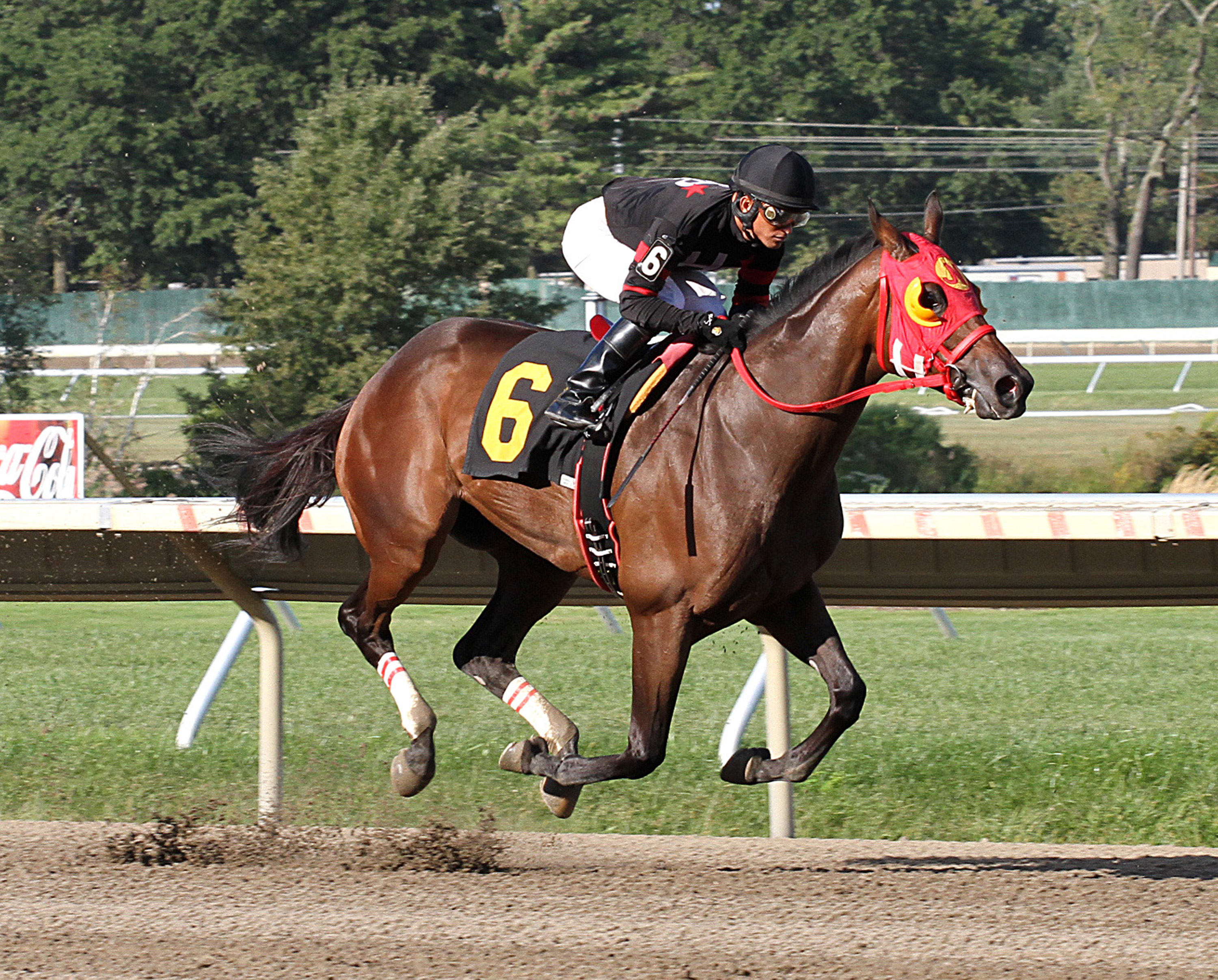 Crazy About Me wins an optional claimer