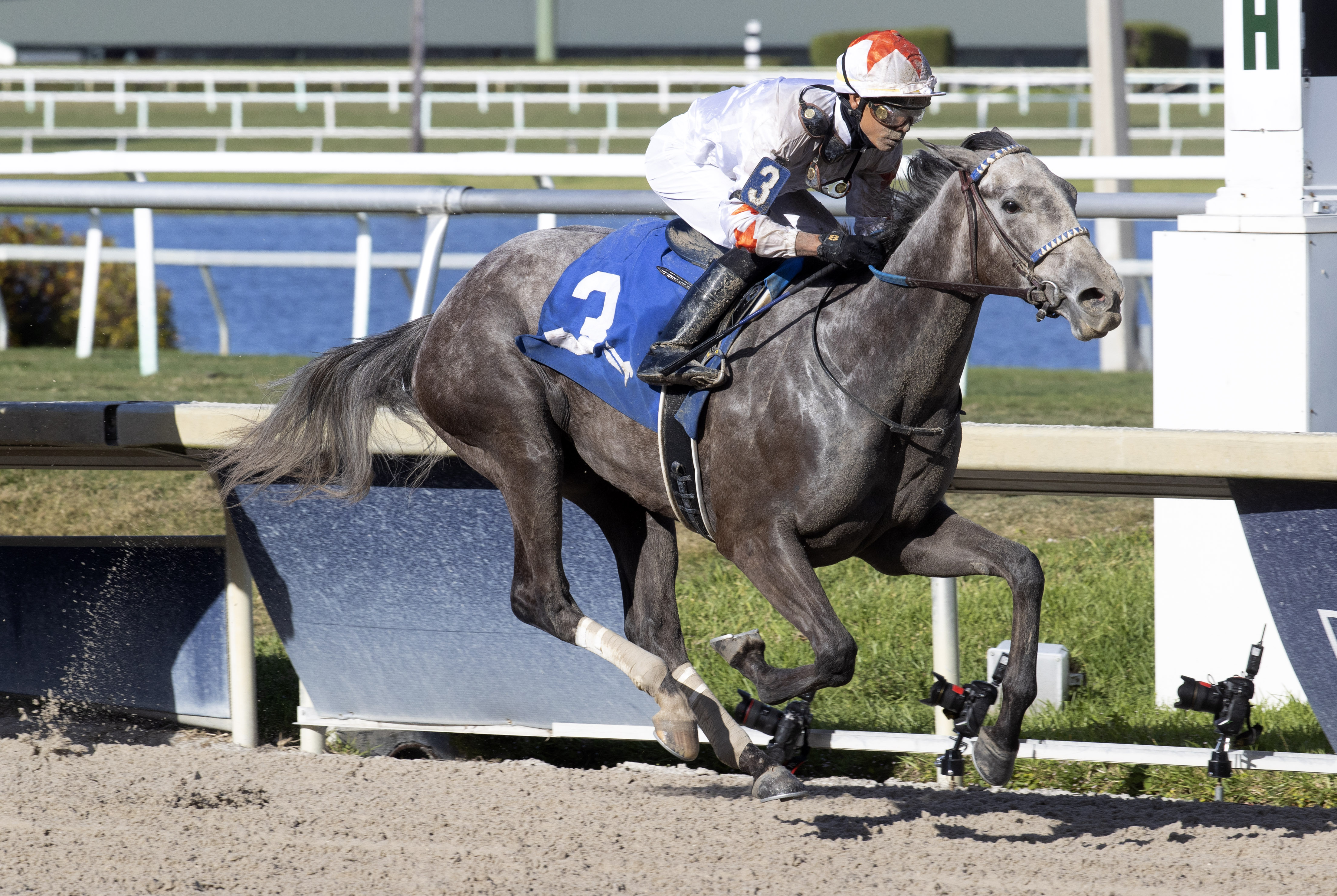 Crazy Beautiful - GP Oaks 2021
