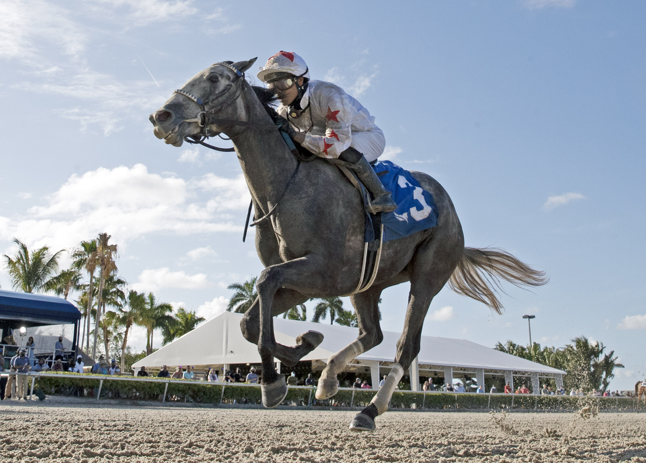 Crazy Beautiful wins Gulfstream Oaks 3-27-2021