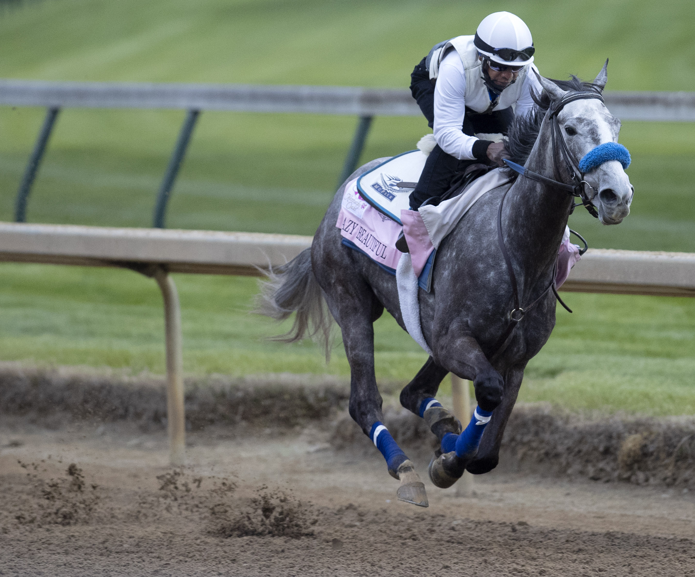 Crazy Beautiful works at Churchill Downs 4-24-2021