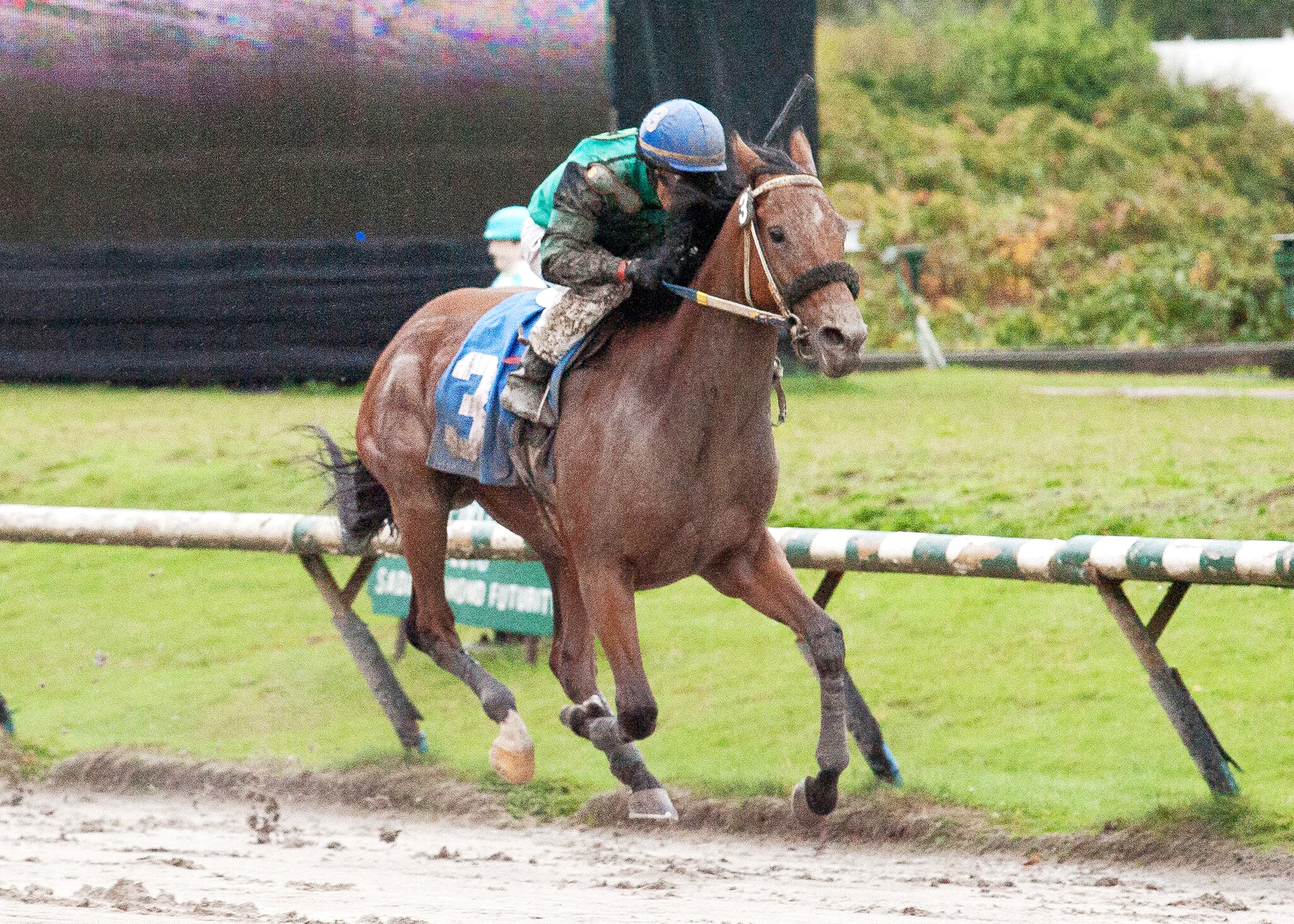 Crazy Prophet wins the 2016 British Columbia Cup Classic