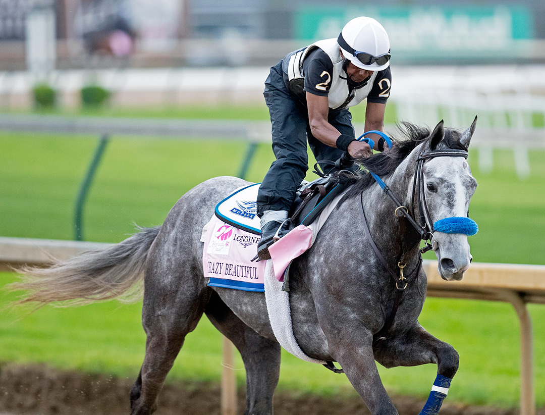 Crazy Beautiful trains at Churchill Downs on April 29