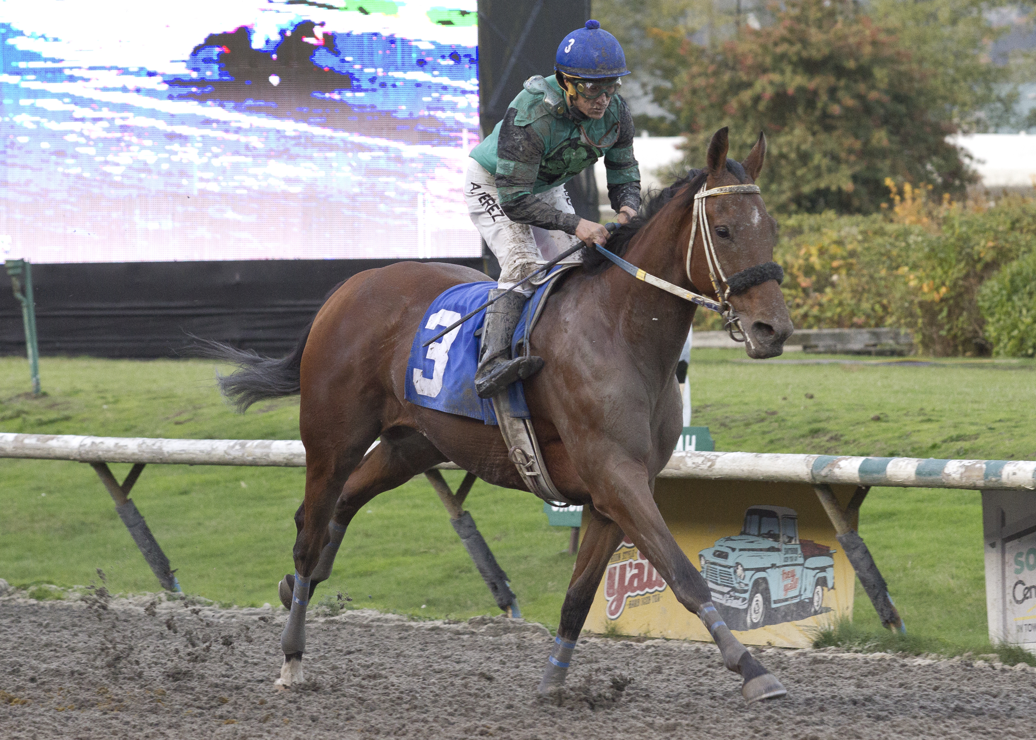 Crazy Prophet wins BC Cup Classic
