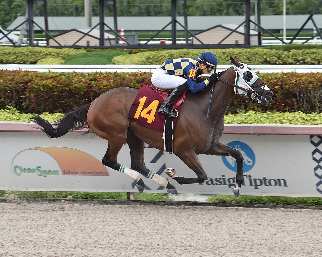 Crea's Bklyn Law wins a July 11 allowance race at Gulfstream
