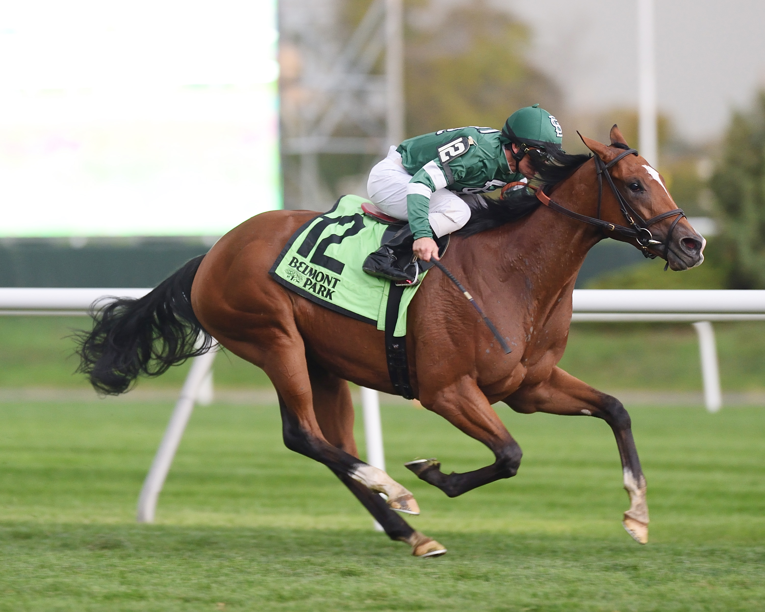 Create a Dream wins the Chelsey Flower
