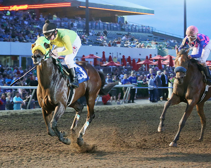 Creative Art wins the 2018 Dark Star Cup