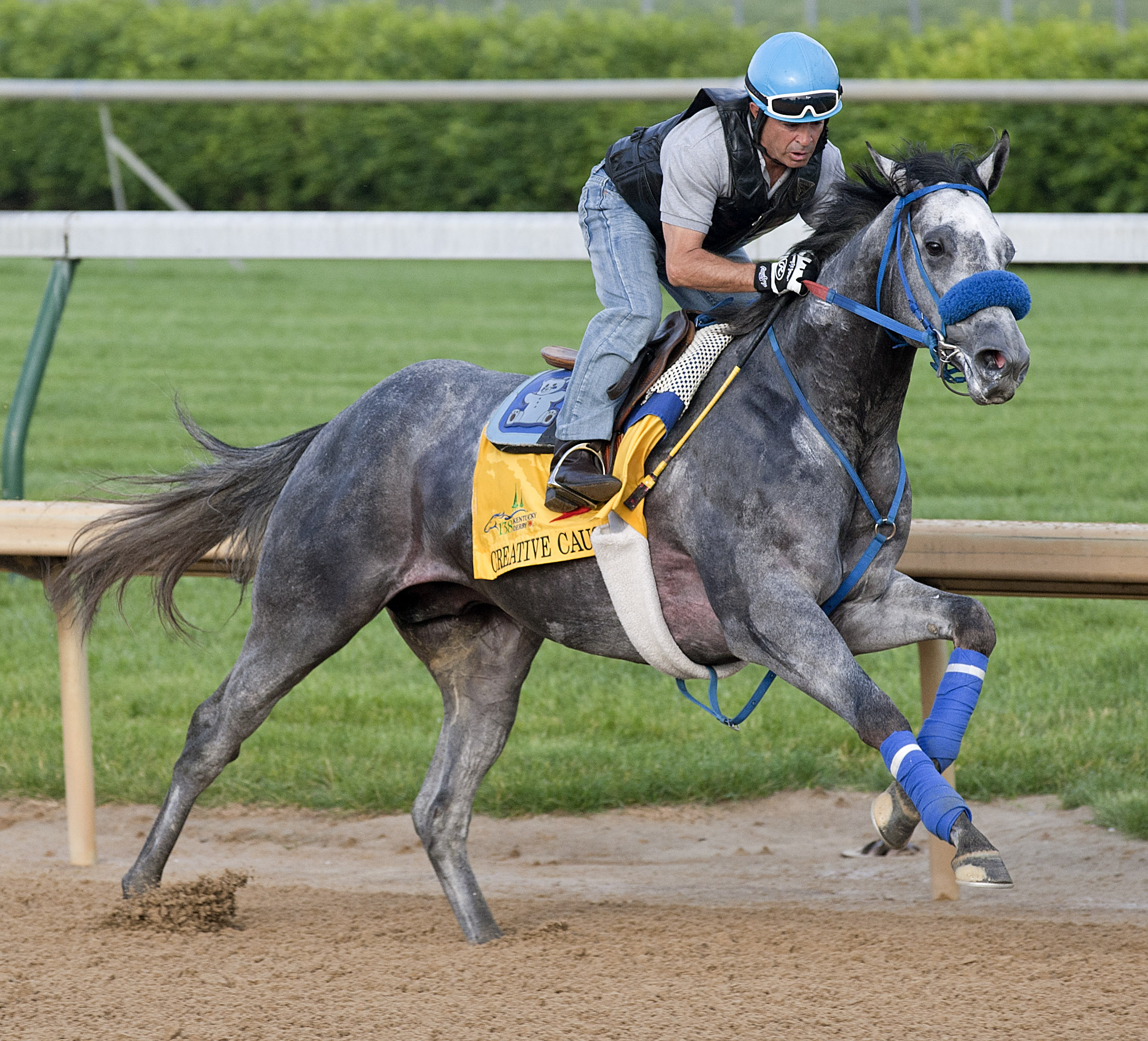 Creative Cause works at Churchill Downs on April 30, 2012
