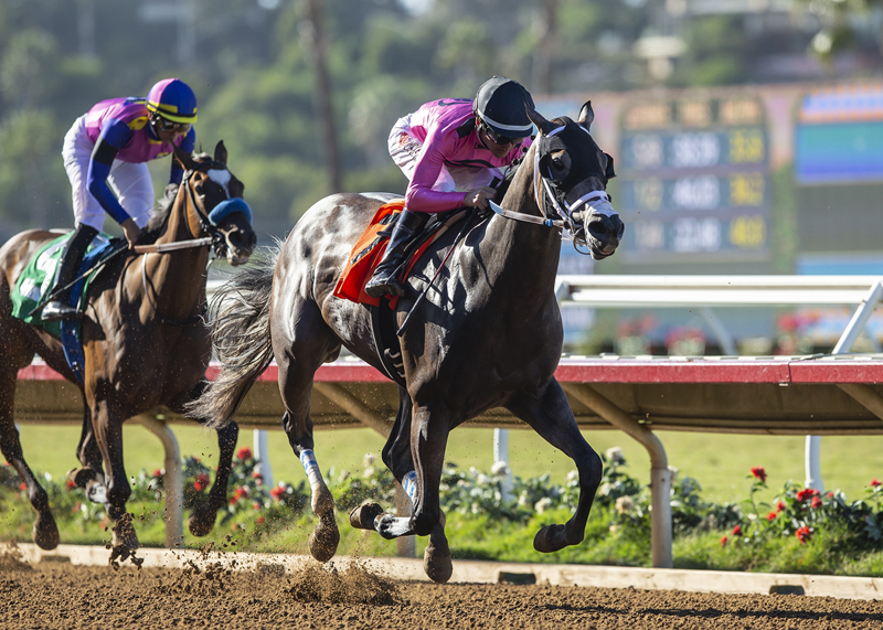 Creative Instinct wins the 2018 Generous Portion Stakes