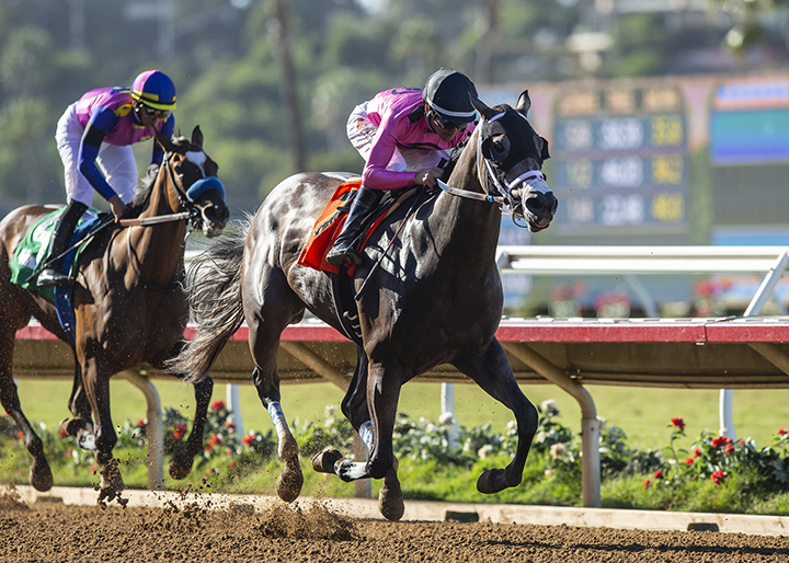 Creative Instinct wins the Generous Portion Stakes